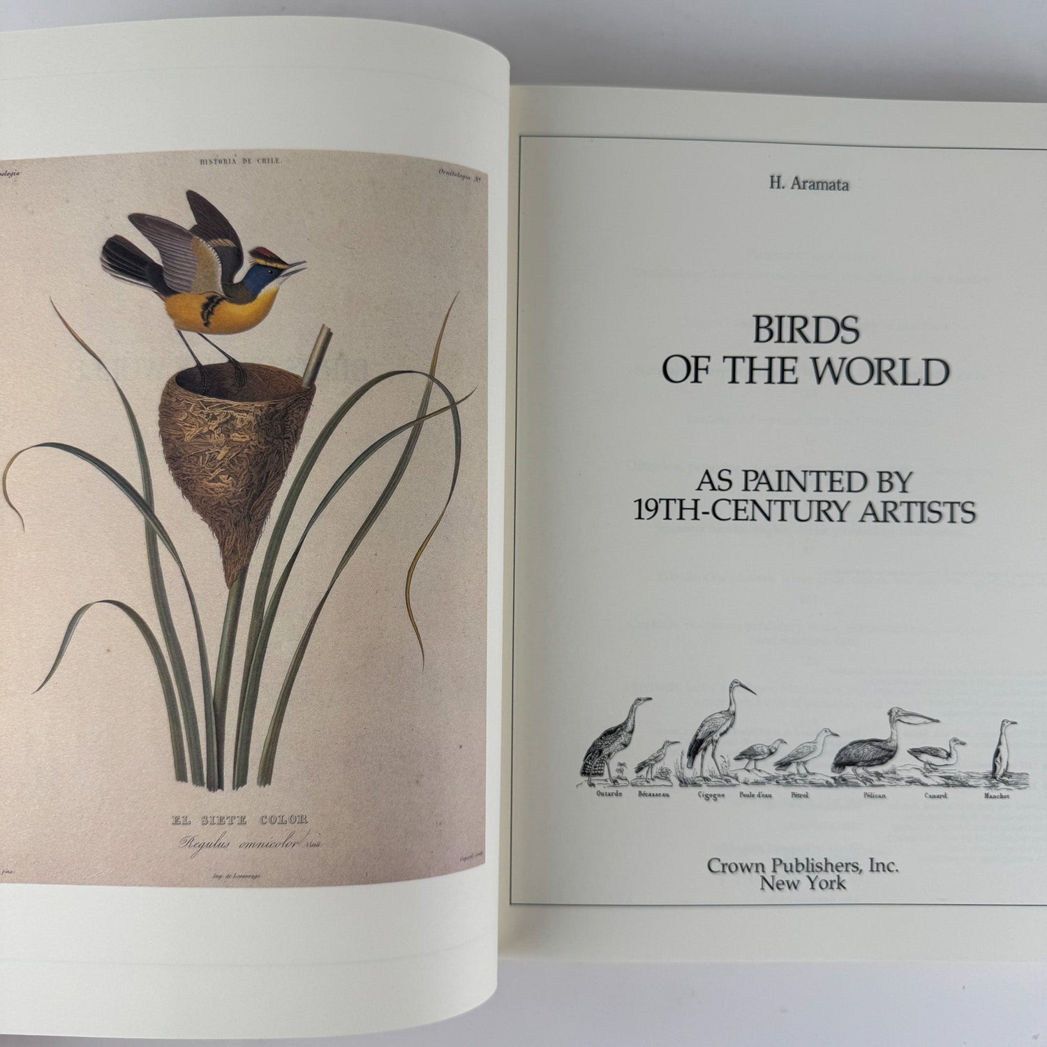 Birds of the World As Painted by 19th Century Artists, Hiroshi Aramata, 1989 - Pretty Old Books