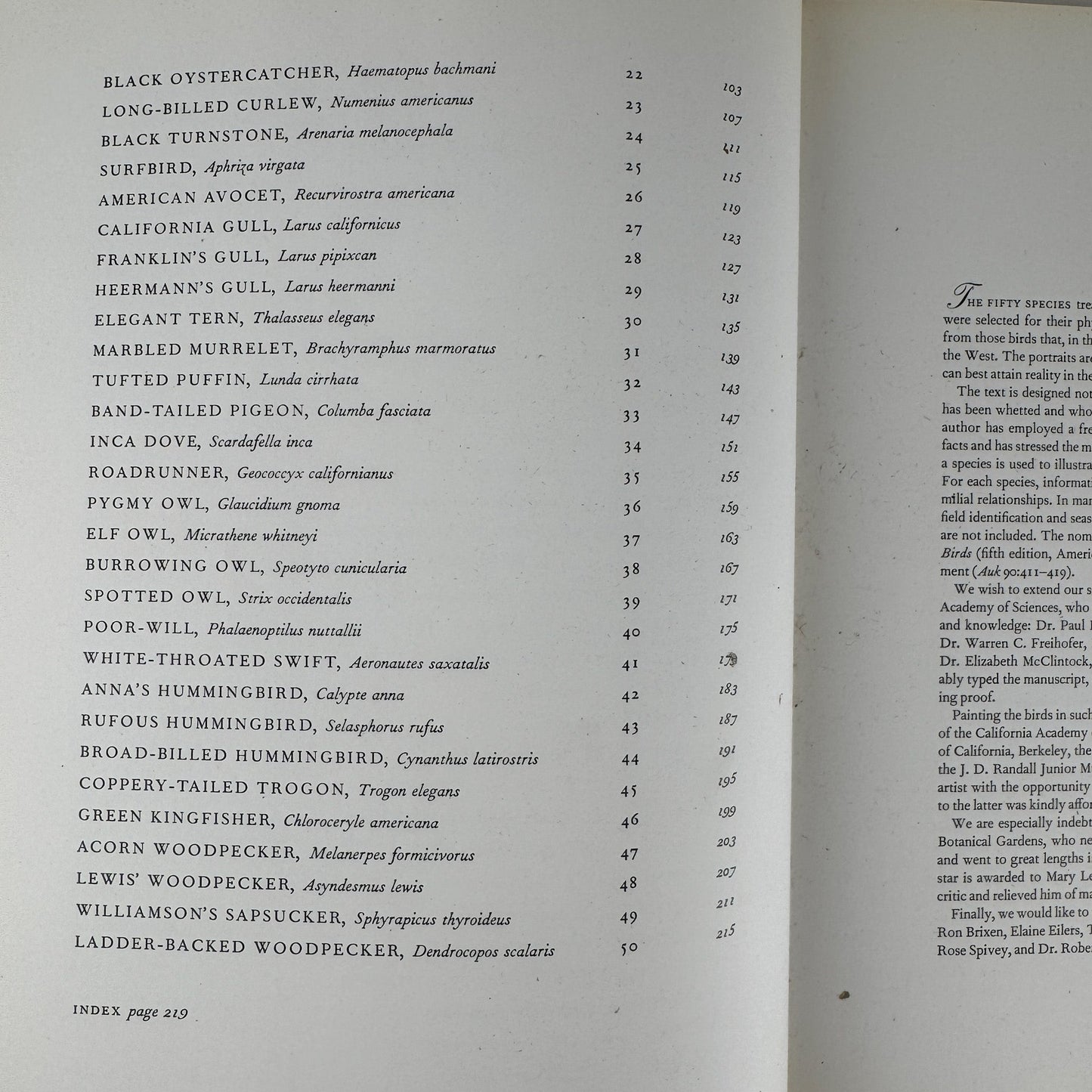 Birds of Western North America, 1974, 1st Edition, Stunning Full - Page Paintings - Pretty Old Books