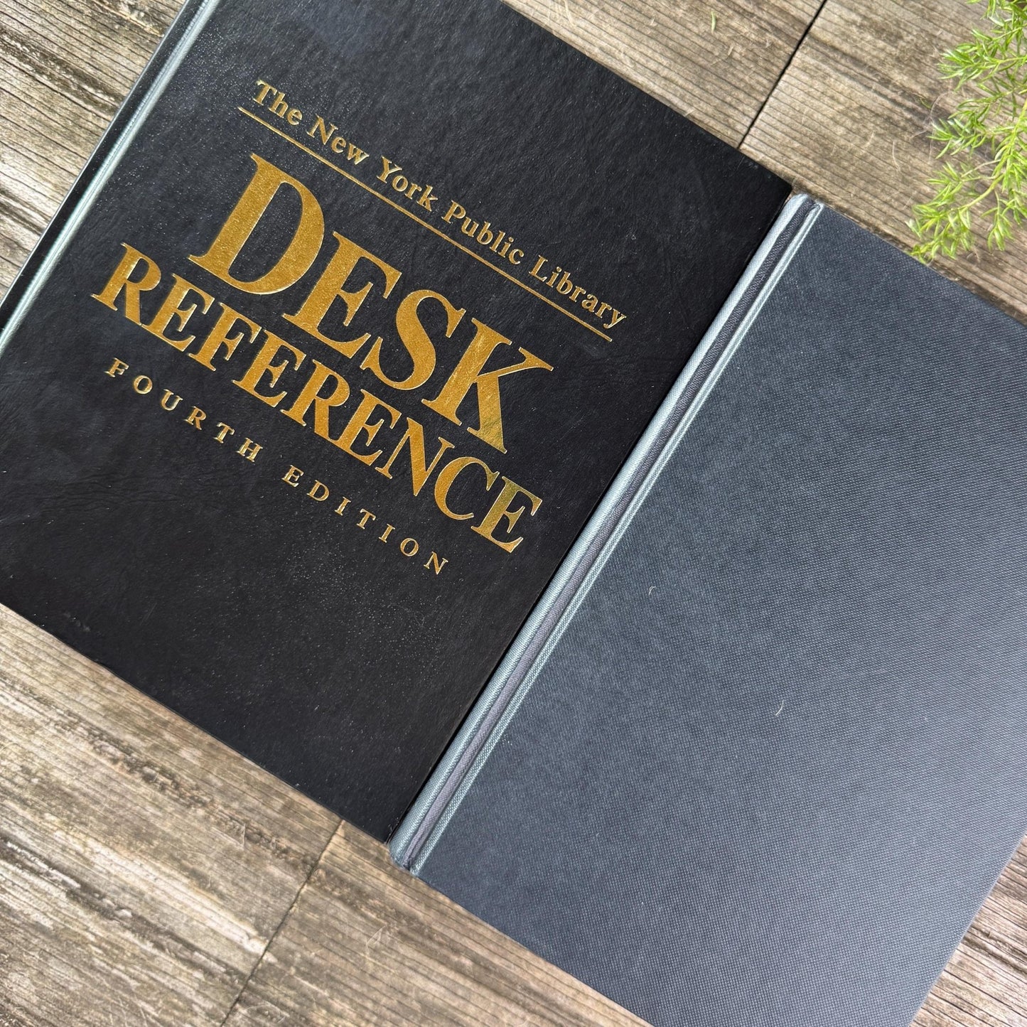 Black and Dark Gray Oversized Reference Book Set - Pretty Old Books