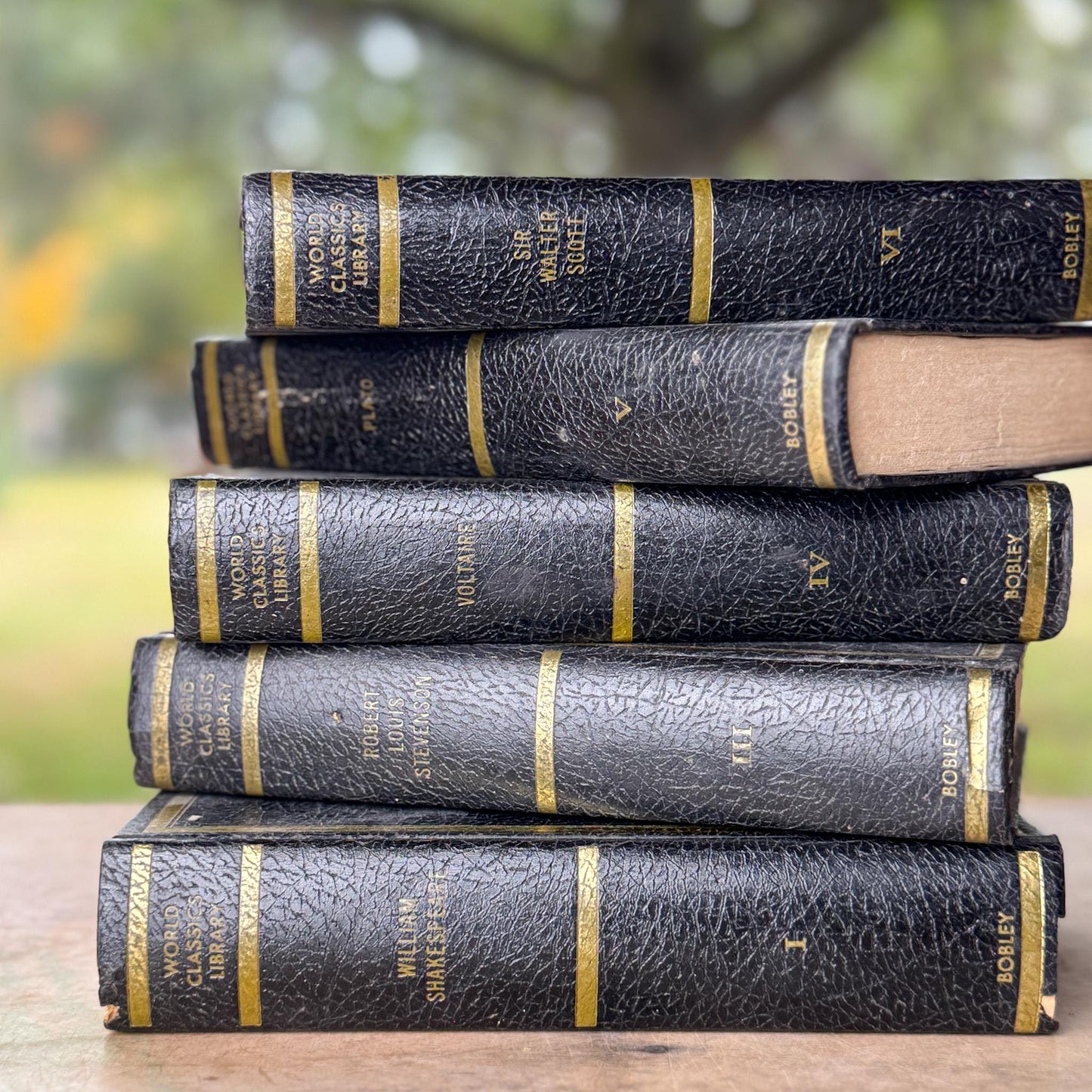 Black & Gold Vintage World Classics Library Book Set | Shakespeare, Plato, Voltaire, Stevenson, Scott - Pretty Old Books