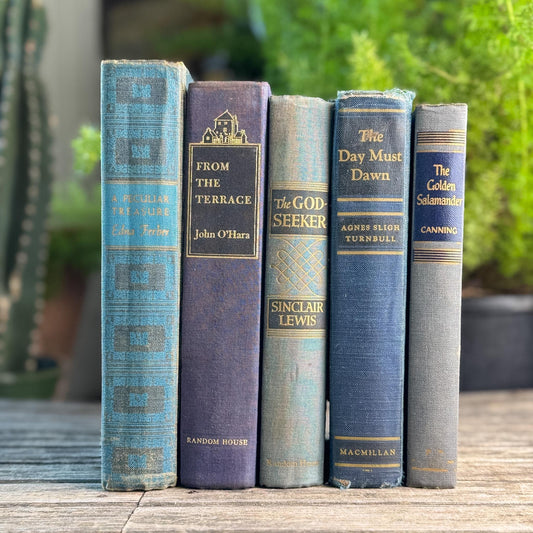 Blue and Black Soft Mid Century Modern Decorative Books for Display - Pretty Old Books
