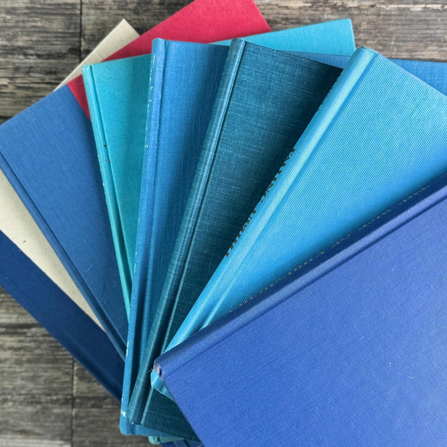 Blue Tall and Thin Mixed Vintage Books for Shelf Styling - Pretty Old Books