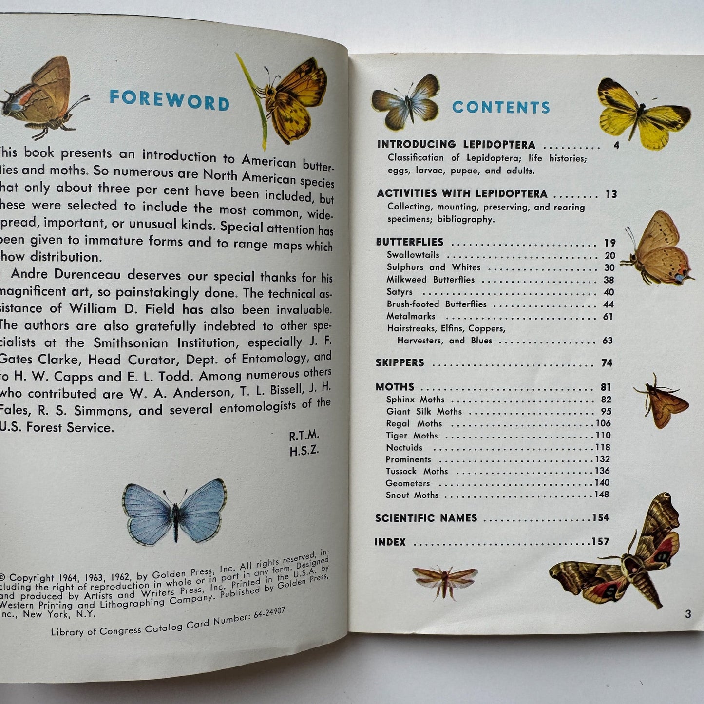 Butterflies and Moths, A Golden Nature Guide, 1964 - Pretty Old Books