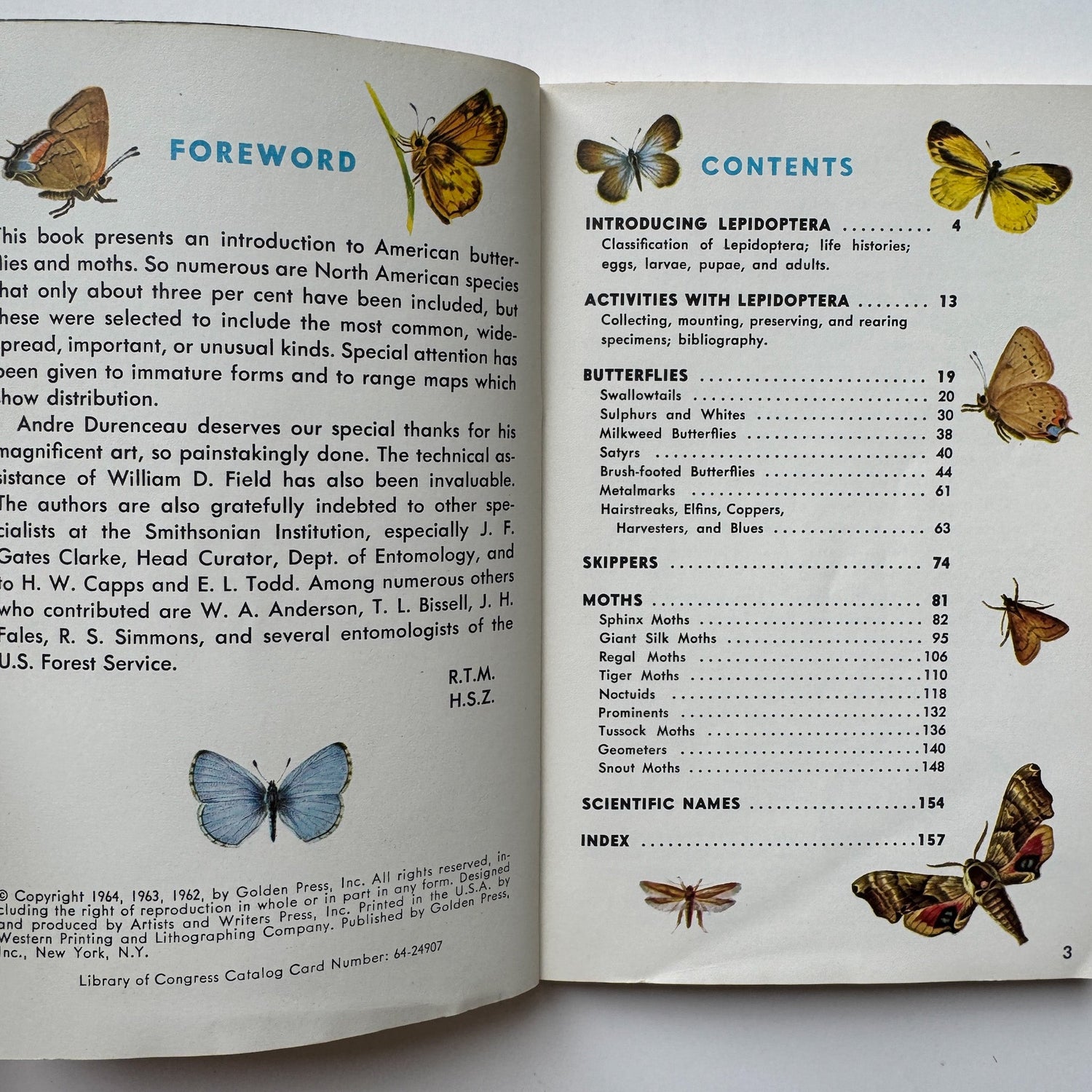 Butterflies and Moths, A Golden Nature Guide, 1964 - Pretty Old Books