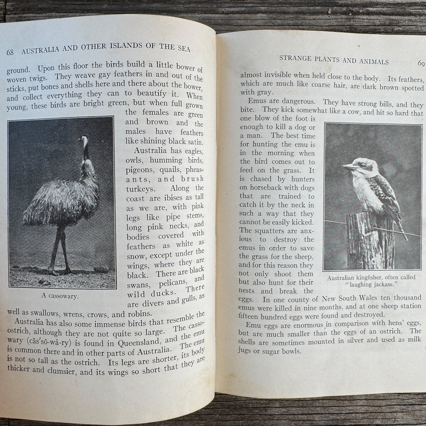 Carpenter's New Geographical Reader: Australia, The Philippines, and Other Islands of the Sea - Pretty Old Books