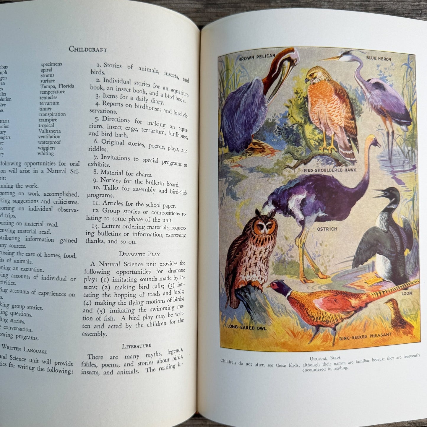 Childcraft, Volume Six, Activity Units, 1937 - Pretty Old Books