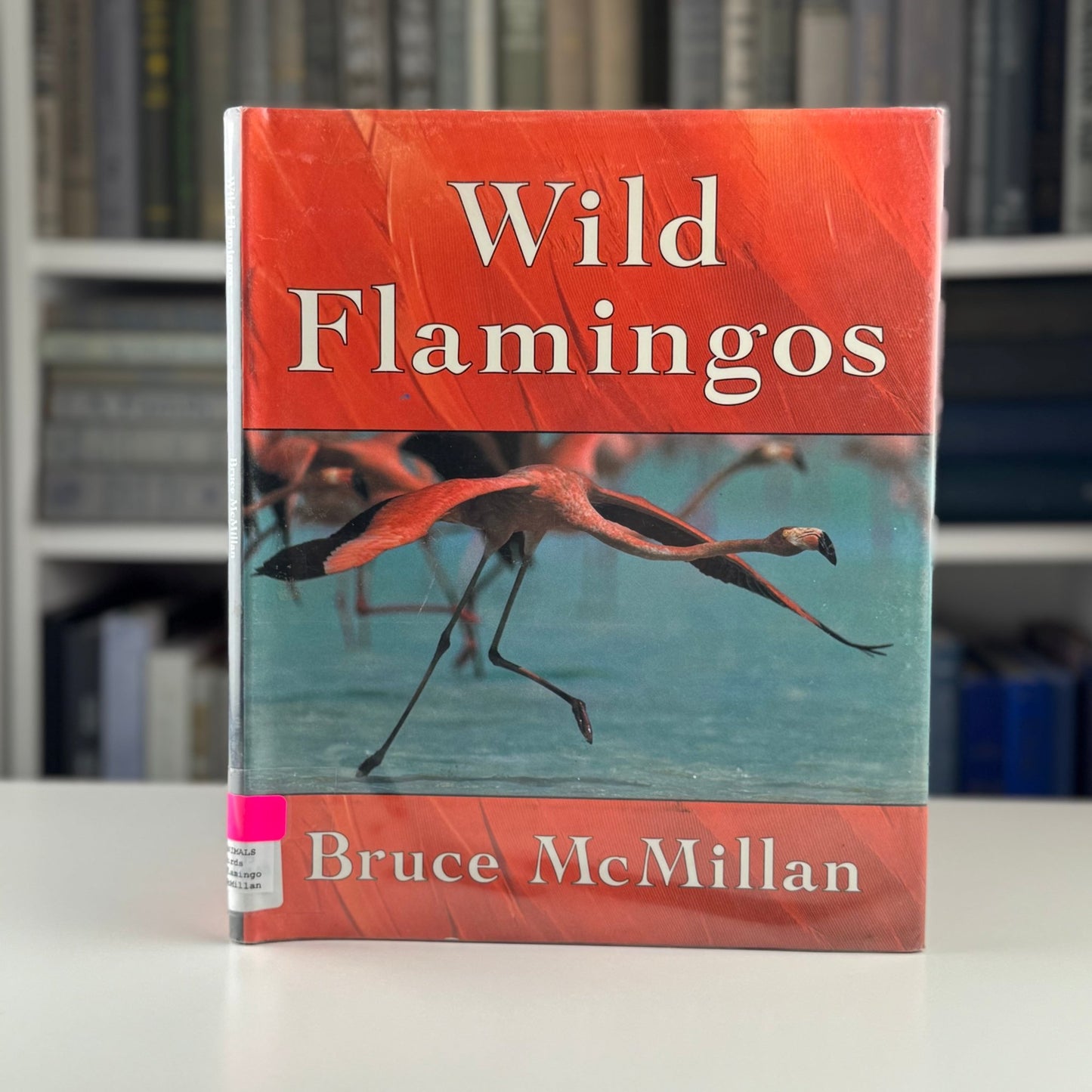 Choose One: Children's Nature Study Picture Books - Pretty Old Books