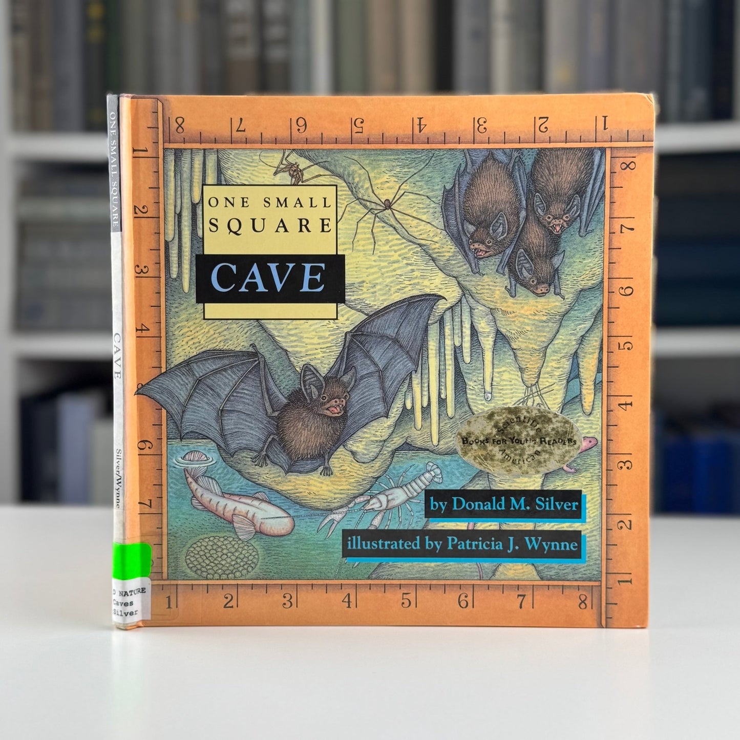 Choose One: Children's Nature Study Picture Books - Pretty Old Books