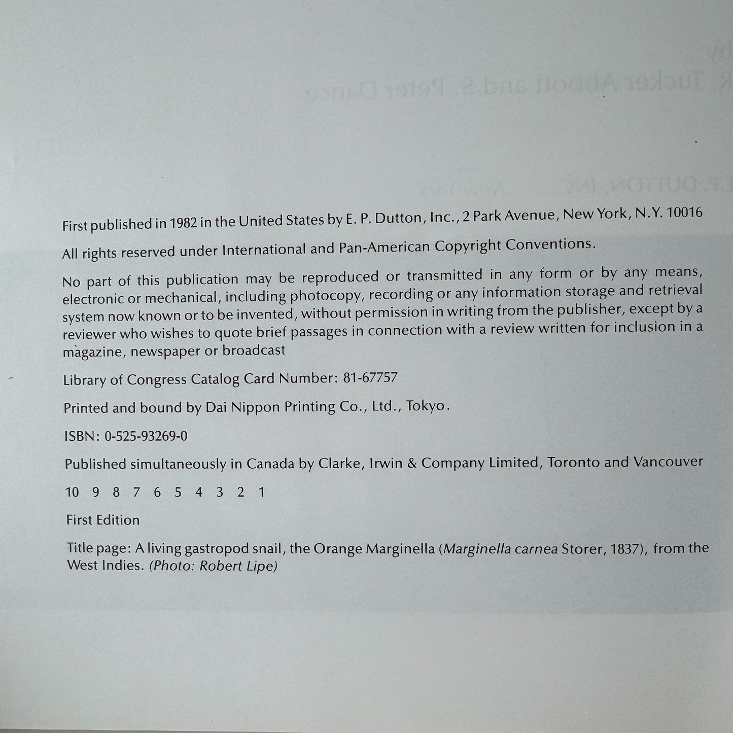 Compendium of Seashells, 1982 First Edition, Hardcover with DJ, Abbott & Dance - Pretty Old Books