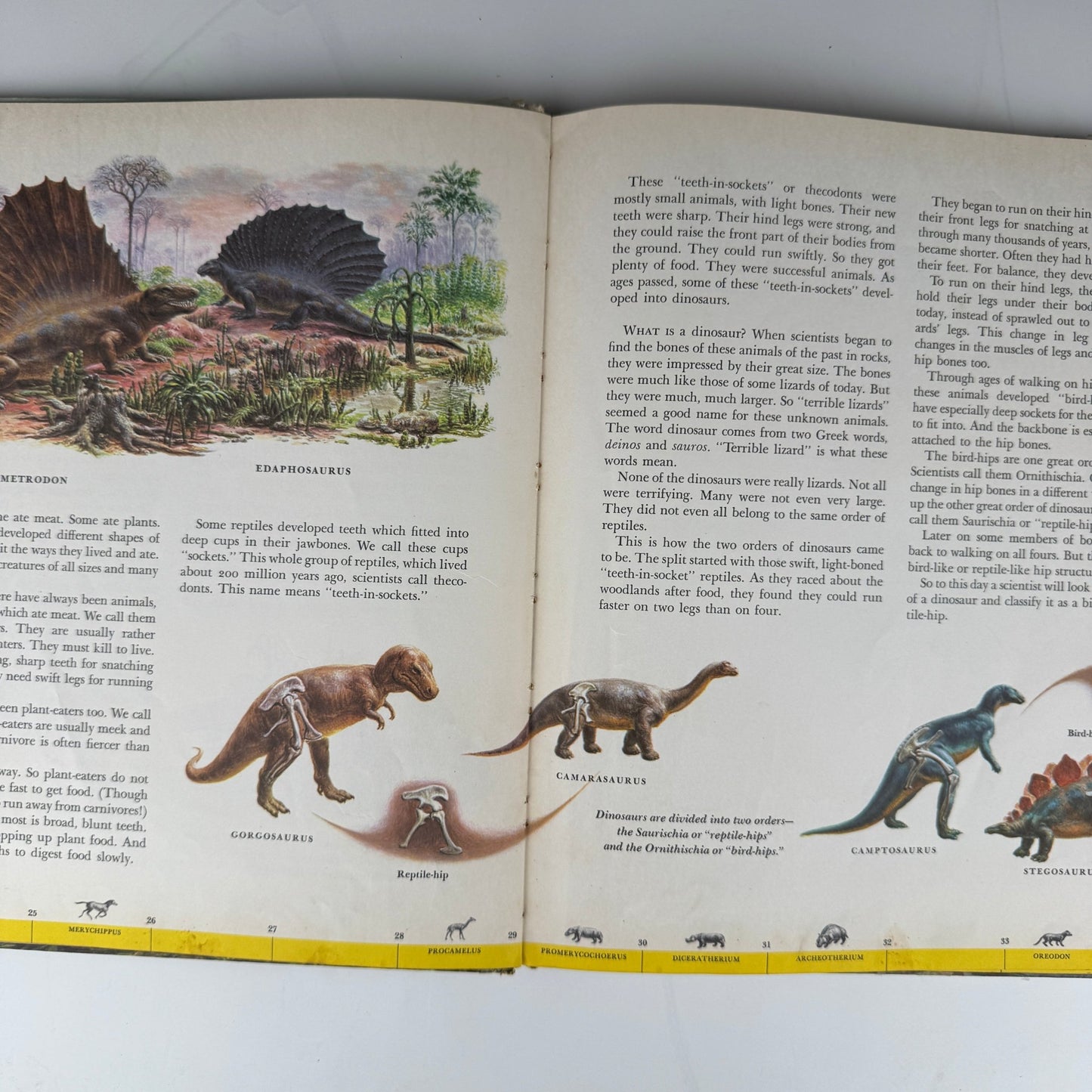 Dinosaurs and Other Prehistoric Reptiles, A Giant Golden Book: 1960 - Pretty Old Books