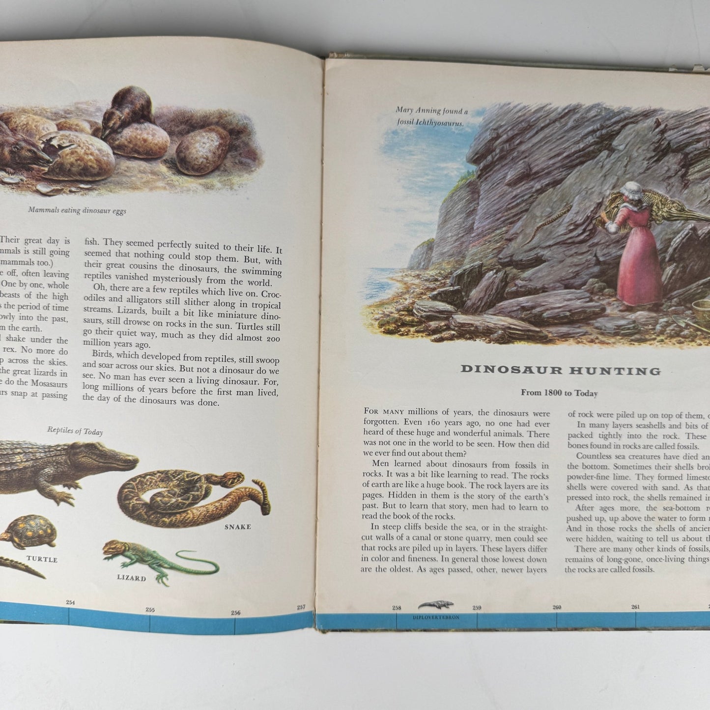 Dinosaurs and Other Prehistoric Reptiles, A Giant Golden Book: 1960 - Pretty Old Books