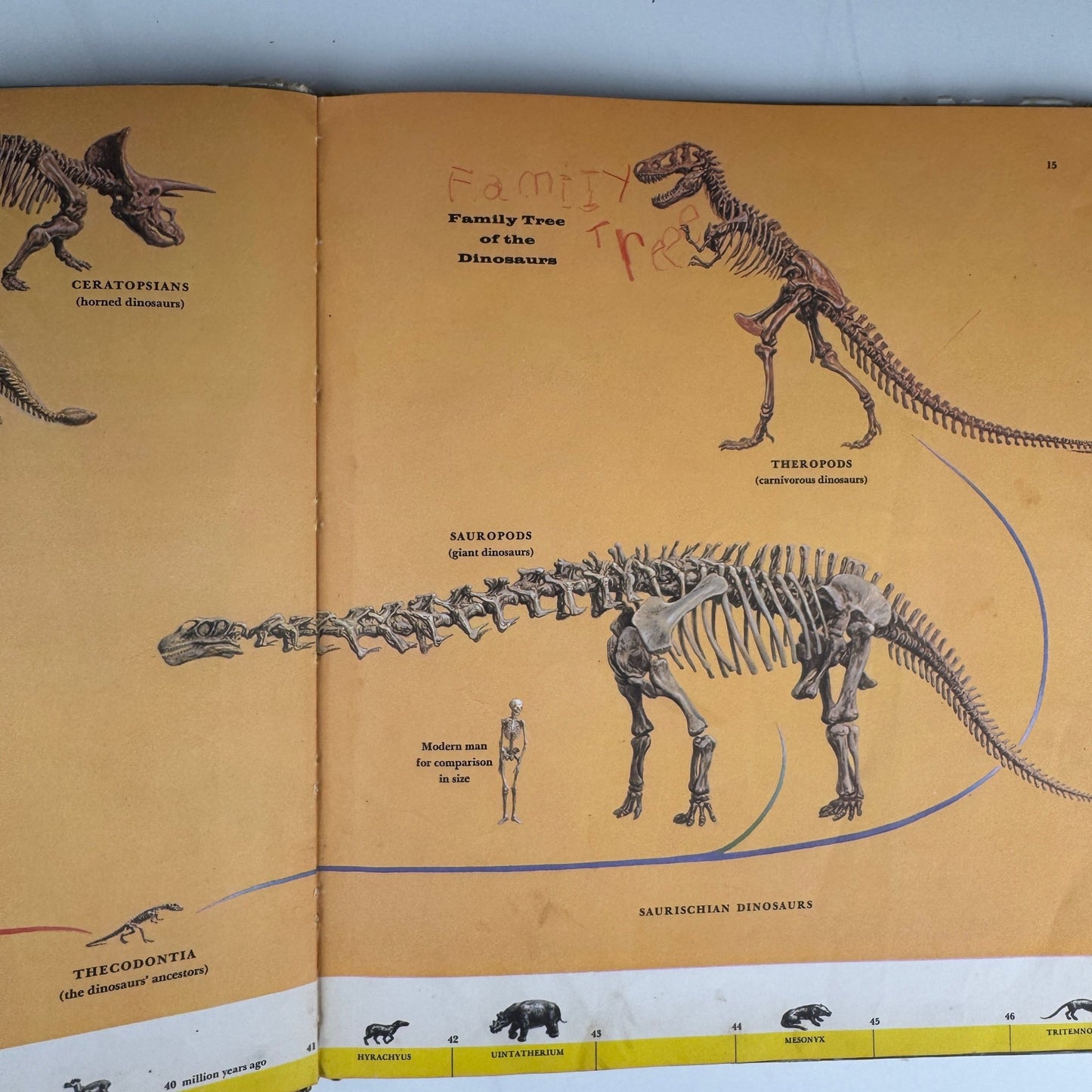 Dinosaurs and Other Prehistoric Reptiles, A Giant Golden Book: 1960 - Pretty Old Books