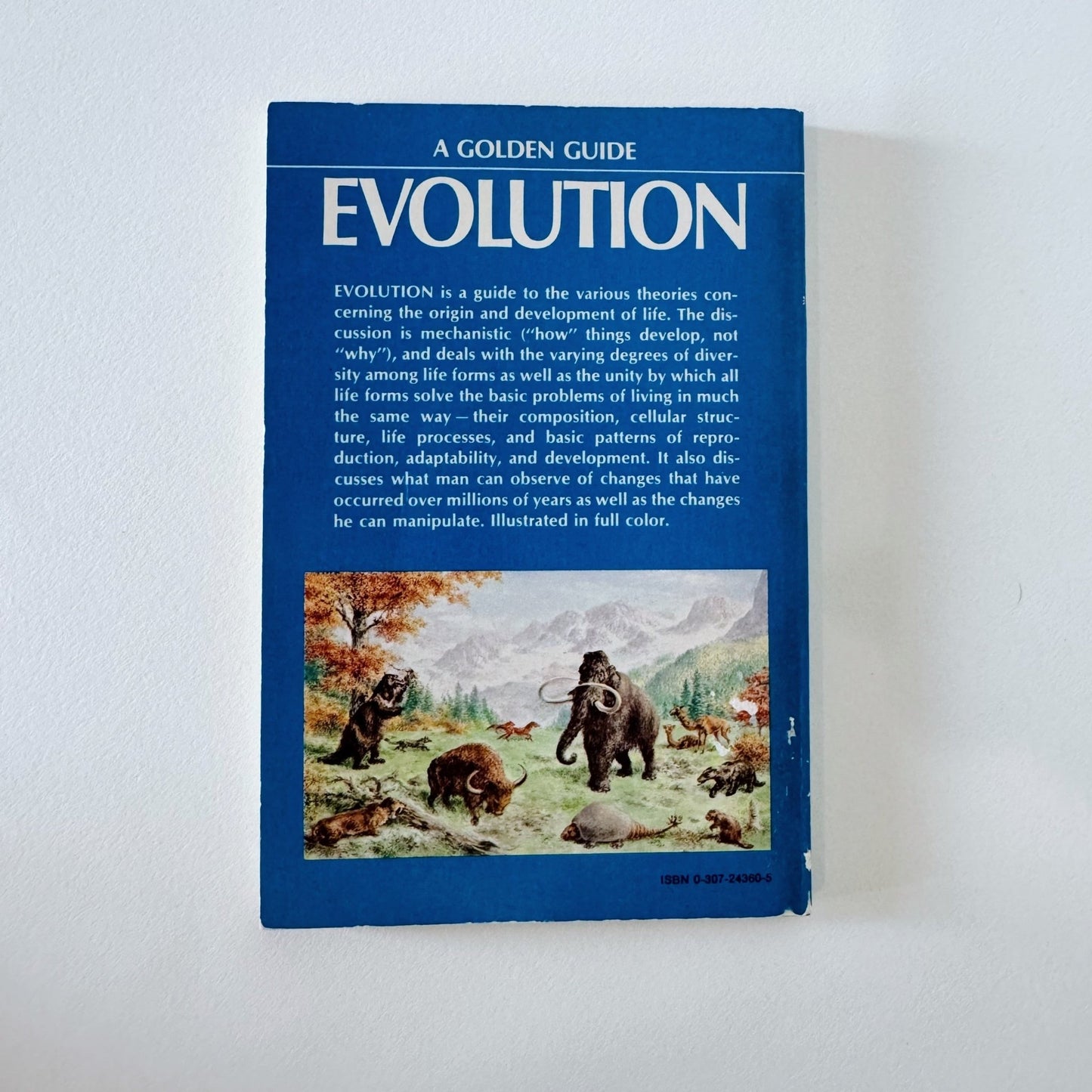 Evolution: A Golden Guide 1974 Paperback Rare - Pretty Old Books
