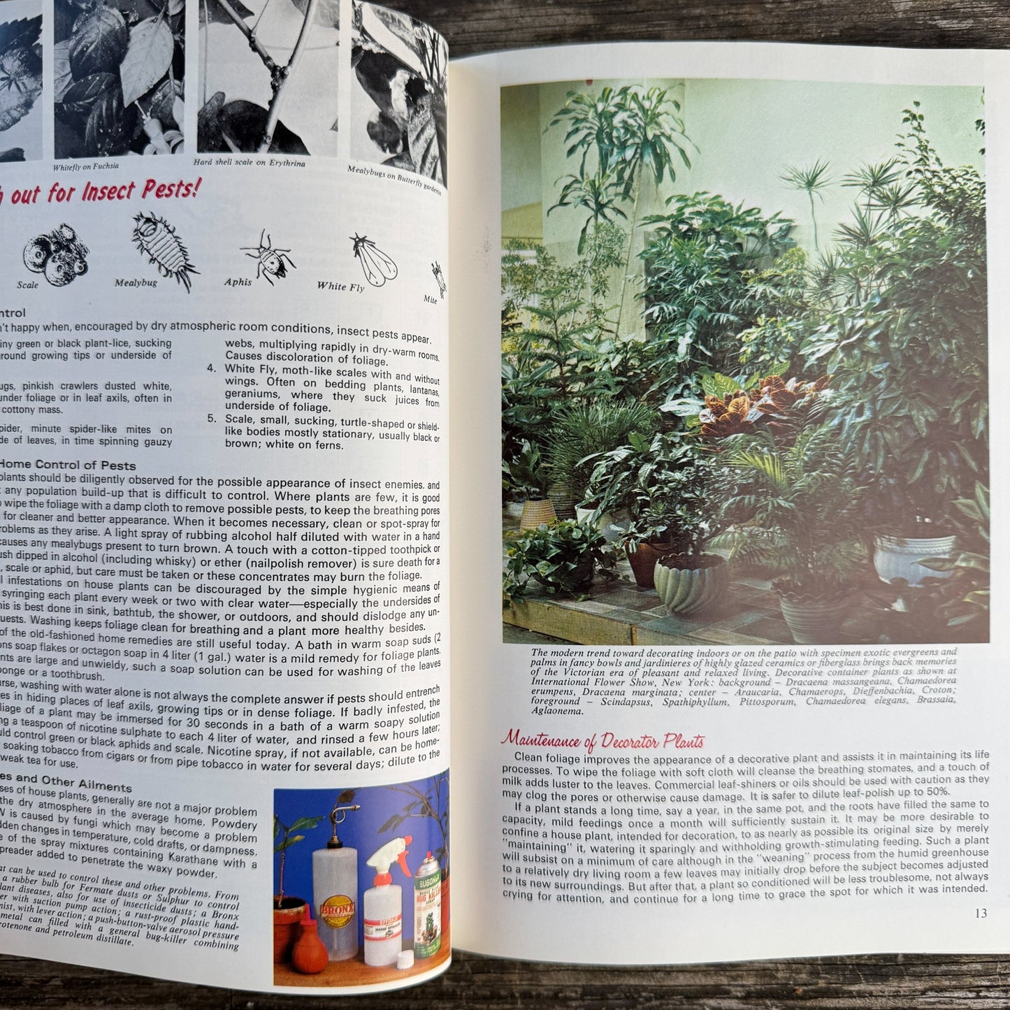 Exotic House Plants, 10th Edition, 1976 Illustrated - Pretty Old Books