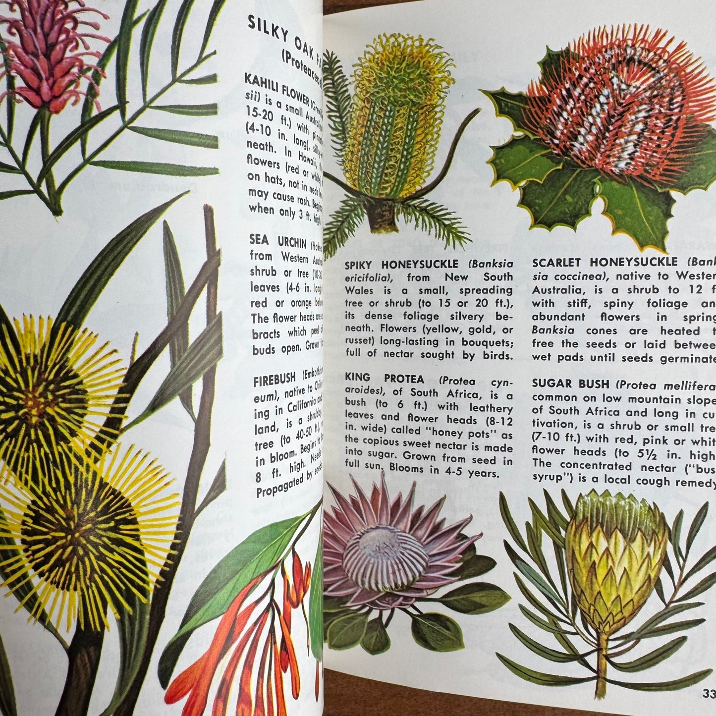 Exotic Plants A Golden Nature Guide Paperback 1971 - Pretty Old Books