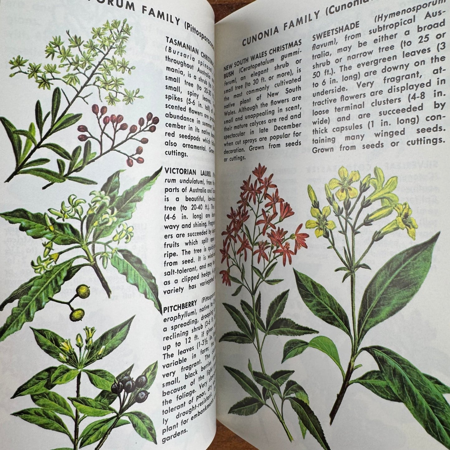 Exotic Plants A Golden Nature Guide Paperback 1971 - Pretty Old Books