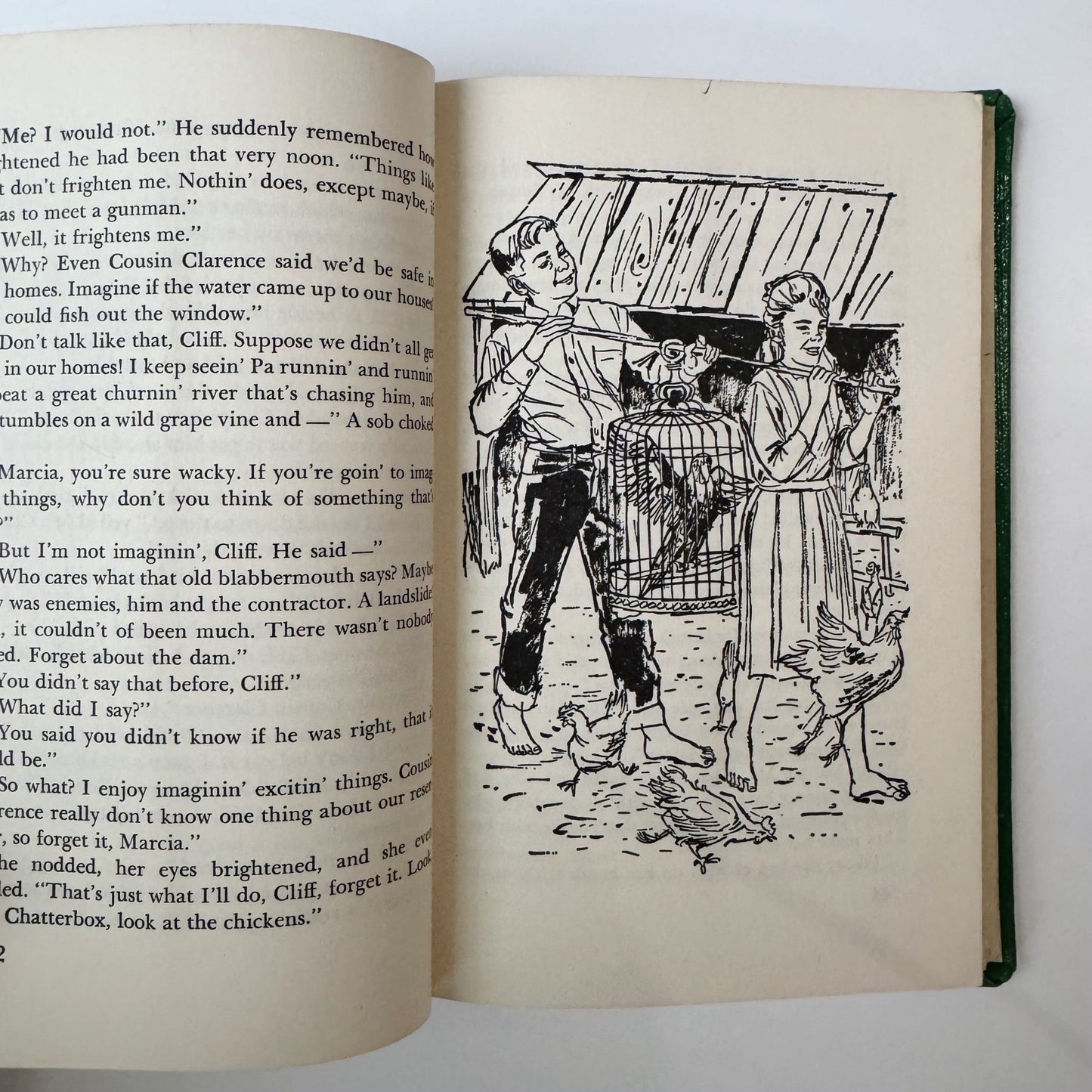Flash Flood At Hollow Creek, Marjorie Paradis, 1963 - Pretty Old Books