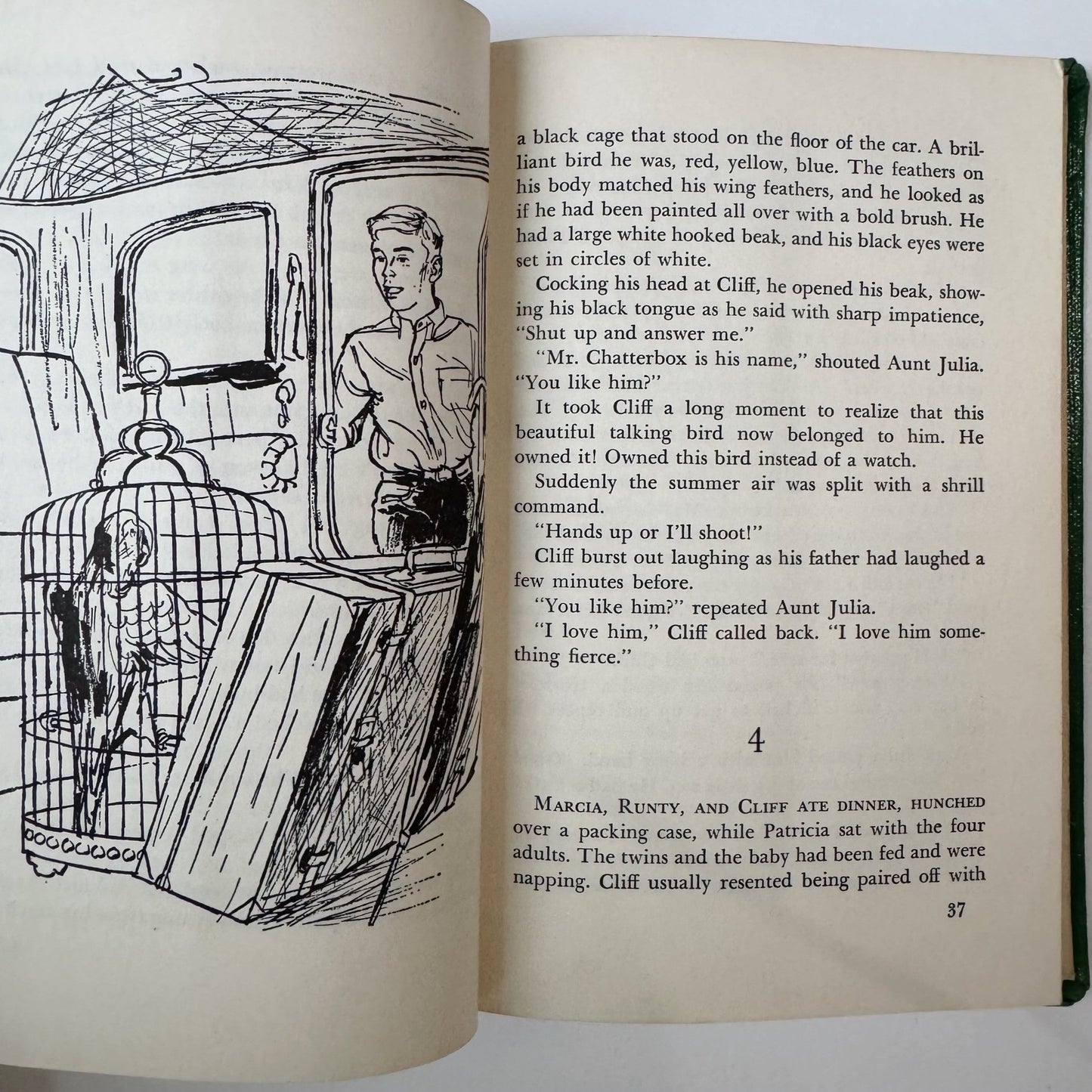 Flash Flood At Hollow Creek, Marjorie Paradis, 1963 - Pretty Old Books