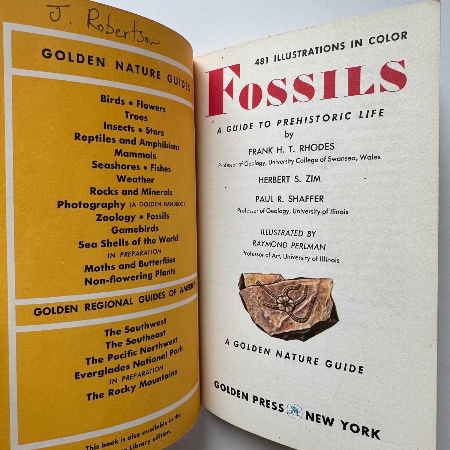 Fossils: A Golden Nature Guide, Paperback, 1962 - Pretty Old Books