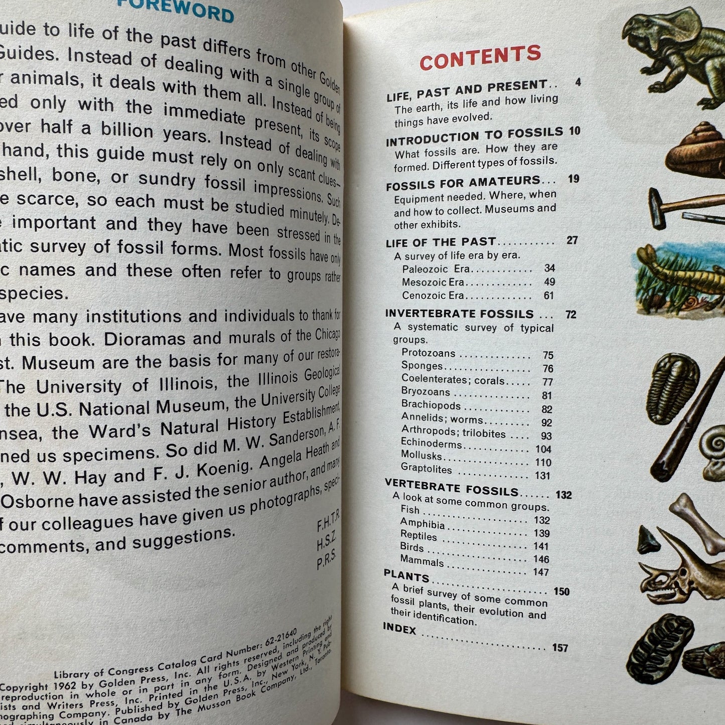 Fossils: A Golden Nature Guide, Paperback, 1962 - Pretty Old Books