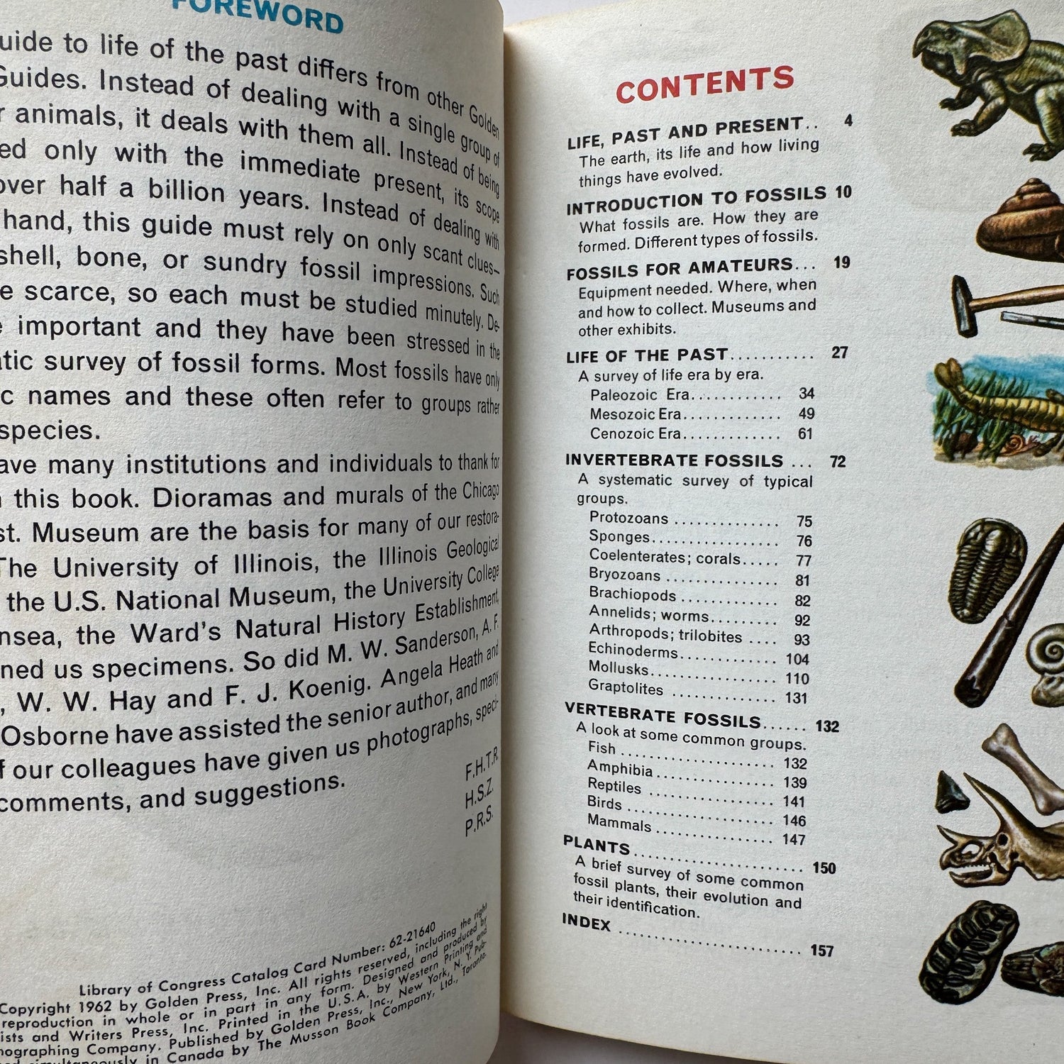 Fossils: A Golden Nature Guide, Paperback, 1962 - Pretty Old Books