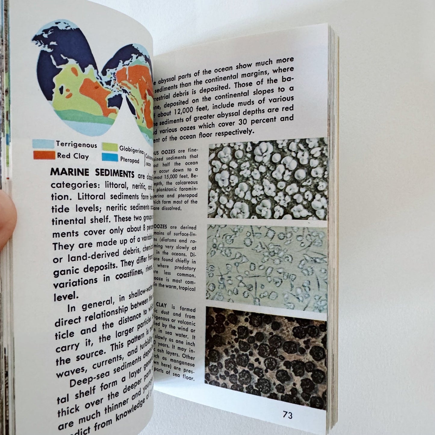Geology A Golden Guide Paperback 1972 - Pretty Old Books