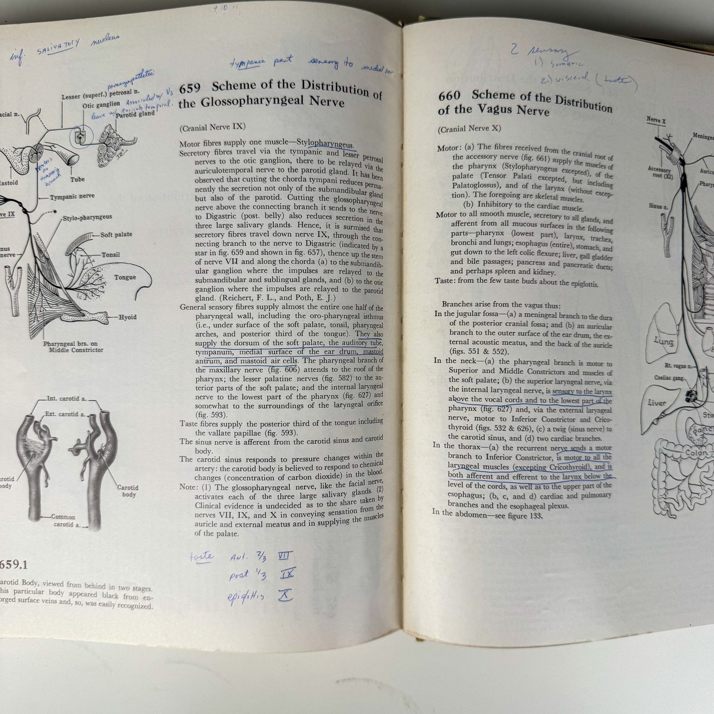 Grant's Atlas of Anatomy, 6th Edition, 1975 Illustrated Hardcover - Pretty Old Books