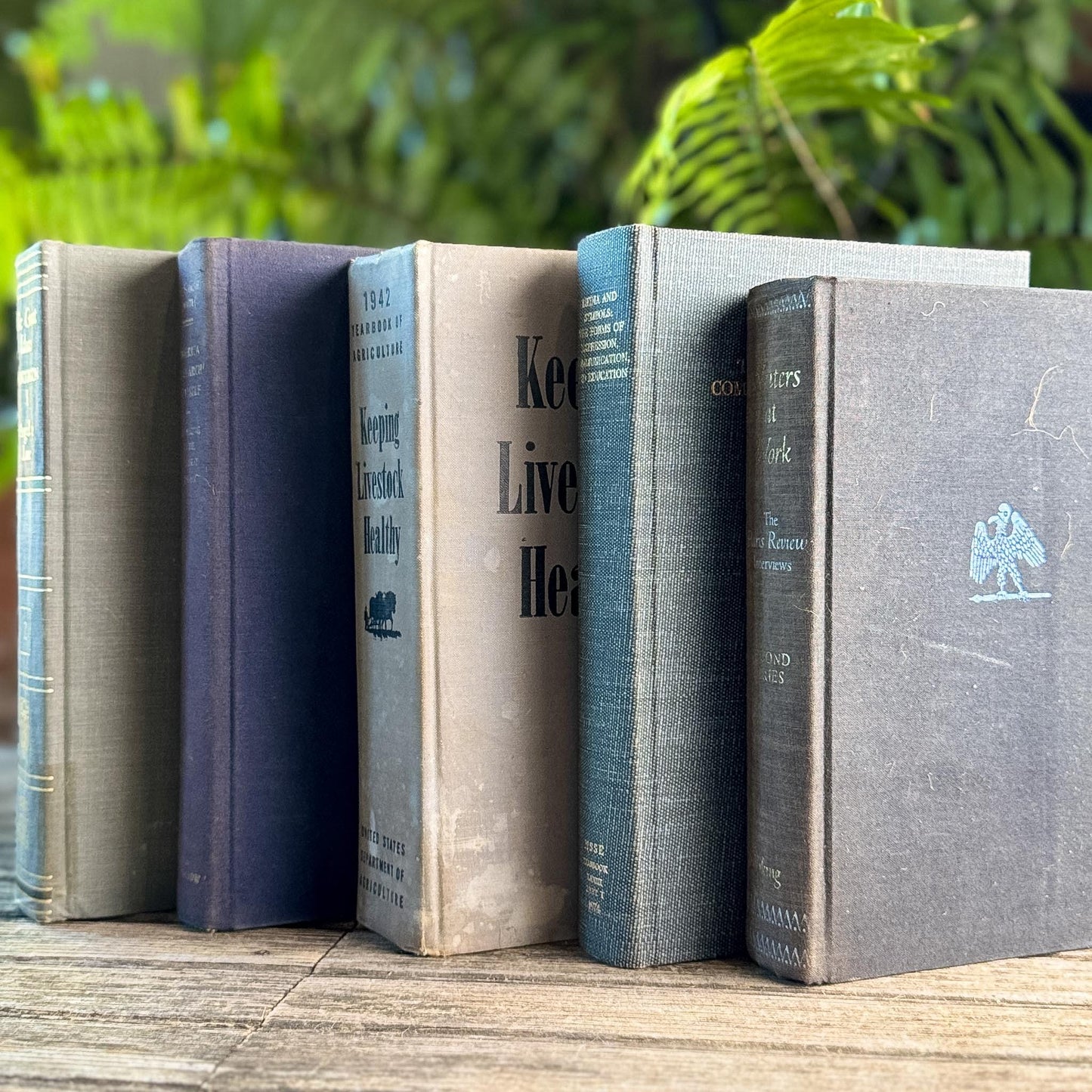 Gray and Taupe Oversized Vintage Shabby Book Bundle - Pretty Old Books