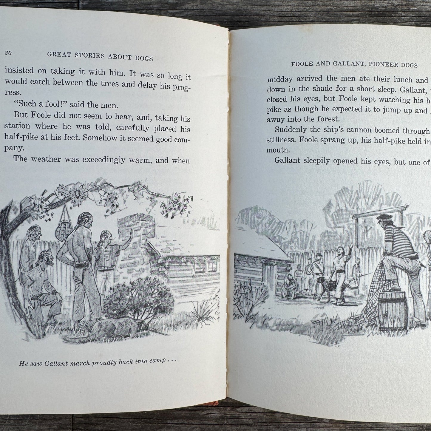 Great Stories About Dogs, 1965 Middle Grade Book - Pretty Old Books