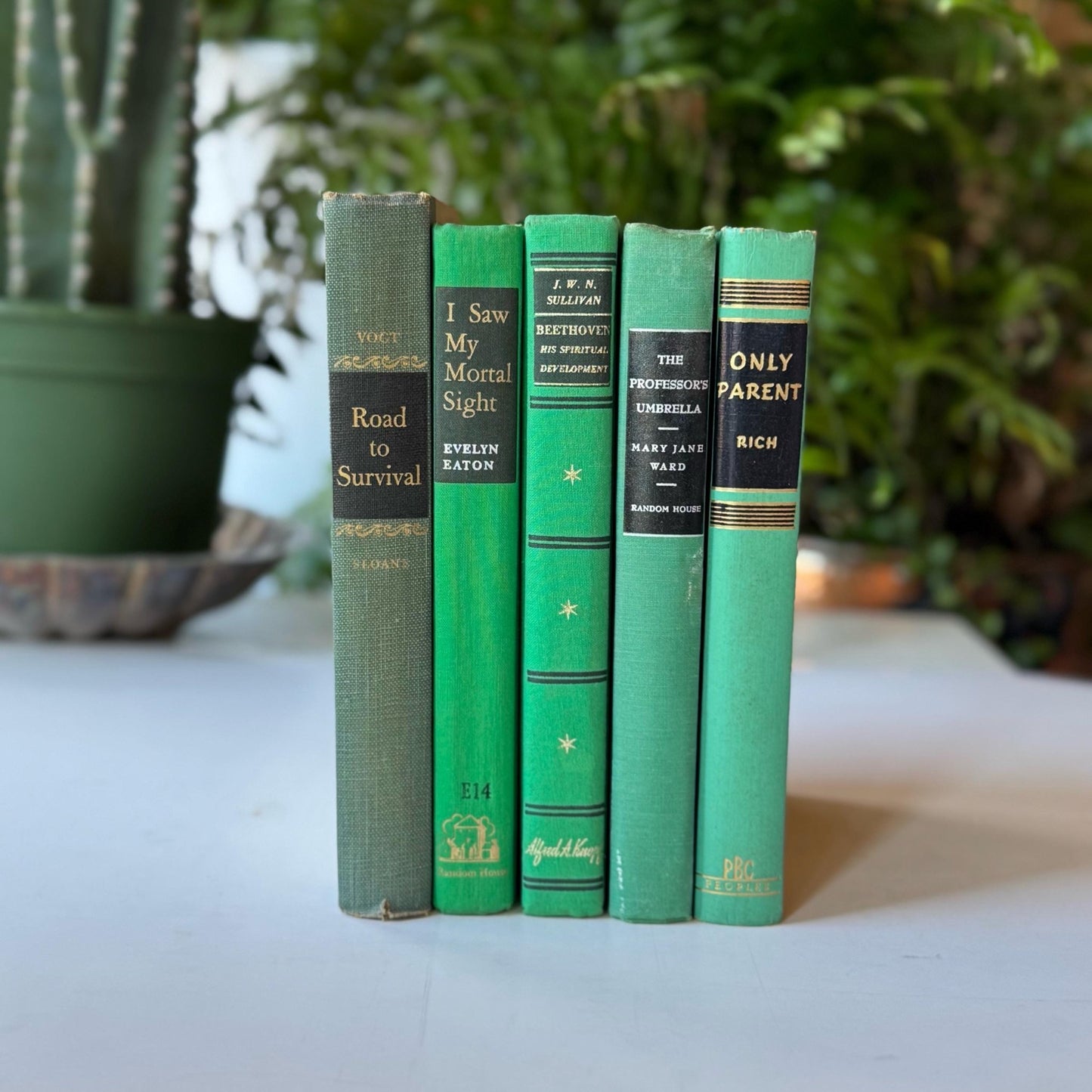 Green and Black Vintage Book Bundle for Decor, Mid Century Shelf Styling - Pretty Old Books