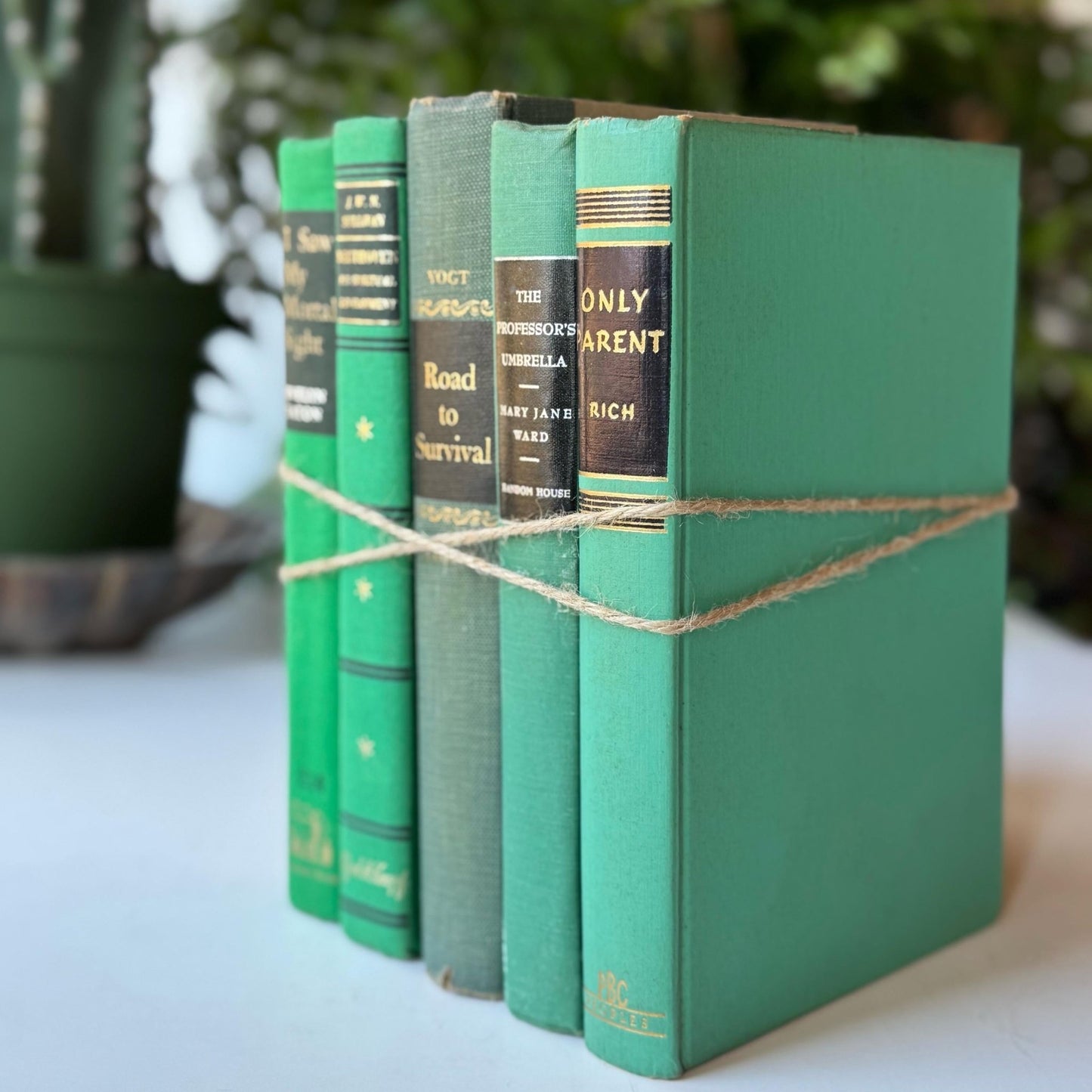 Green and Black Vintage Book Bundle for Decor, Mid Century Shelf Styling - Pretty Old Books