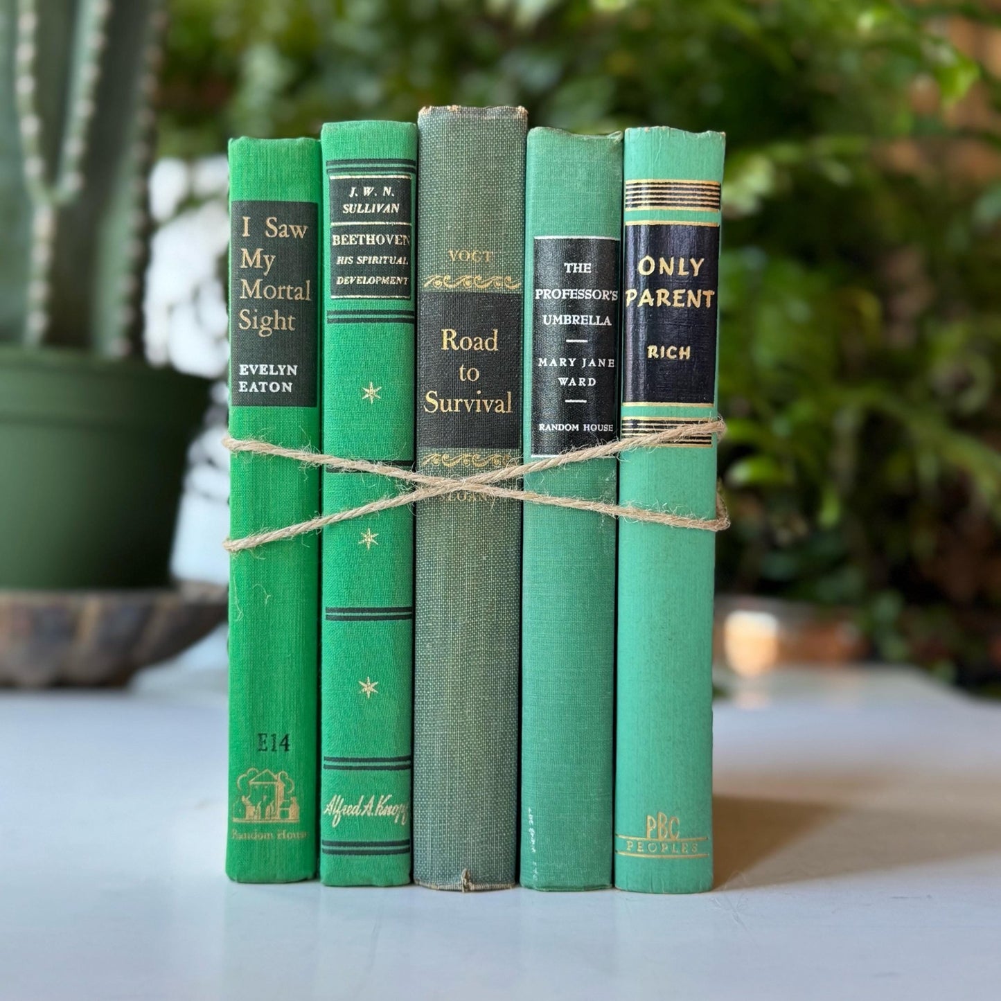 Green and Black Vintage Book Bundle for Decor, Mid Century Shelf Styling - Pretty Old Books