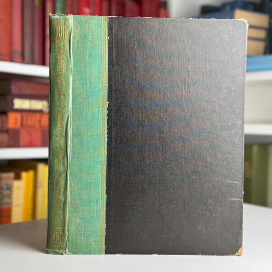 Hammond's Nature Atlas of America, Wildlife Species, 1952, Watercolor Nature Art - Pretty Old Books