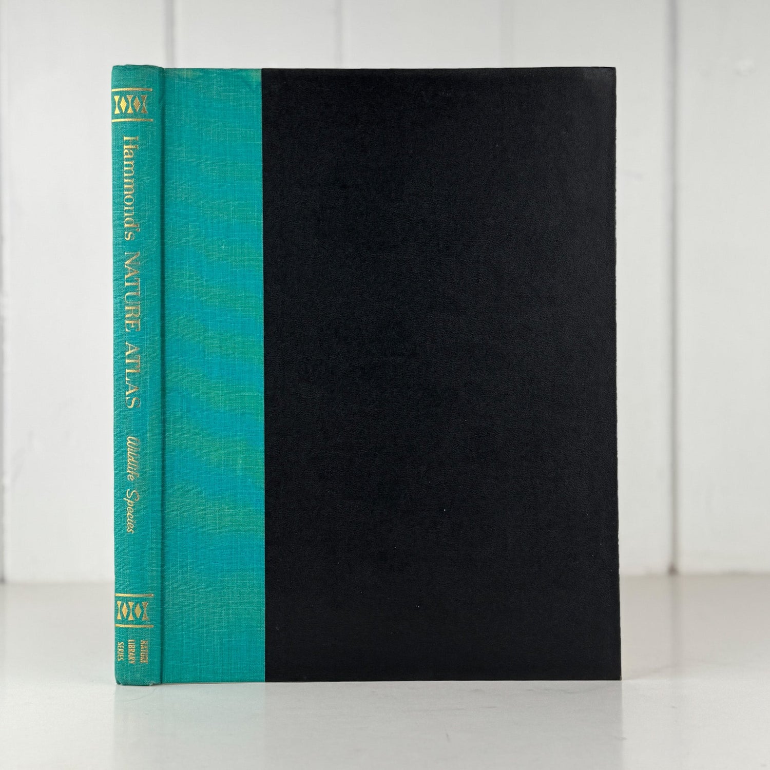 Hammond's Nature Atlas of America, Wildlife Species, 1971, Watercolor Nature Art - Pretty Old Books