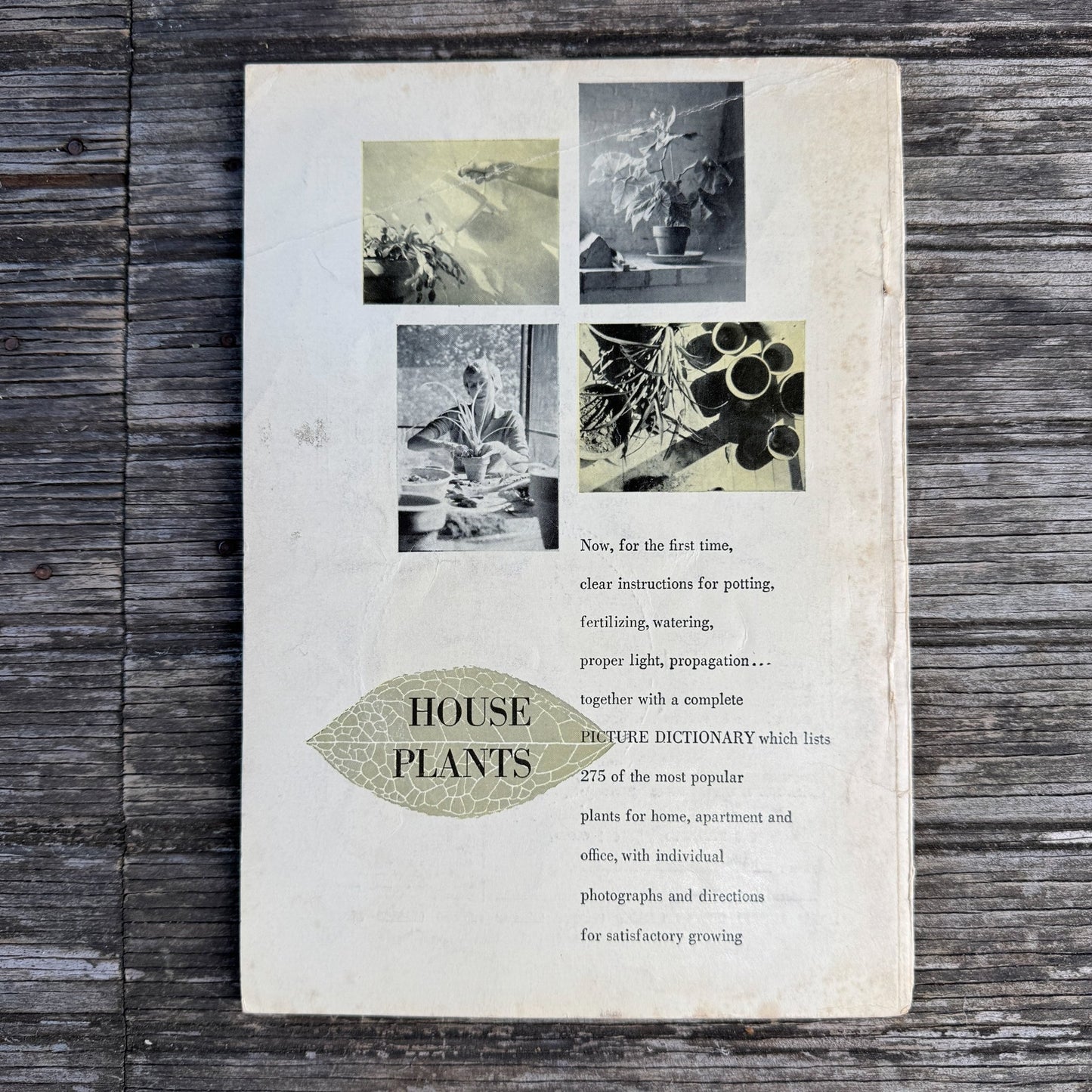 House Plants, Andree Vilas Grabe, 1963, Maco Magazine, Paperback - Pretty Old Books