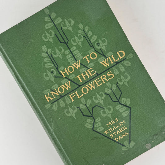 How To Know The Wild Flowers, Mrs. William Starr Dana, 1910, Illustrated - Pretty Old Books