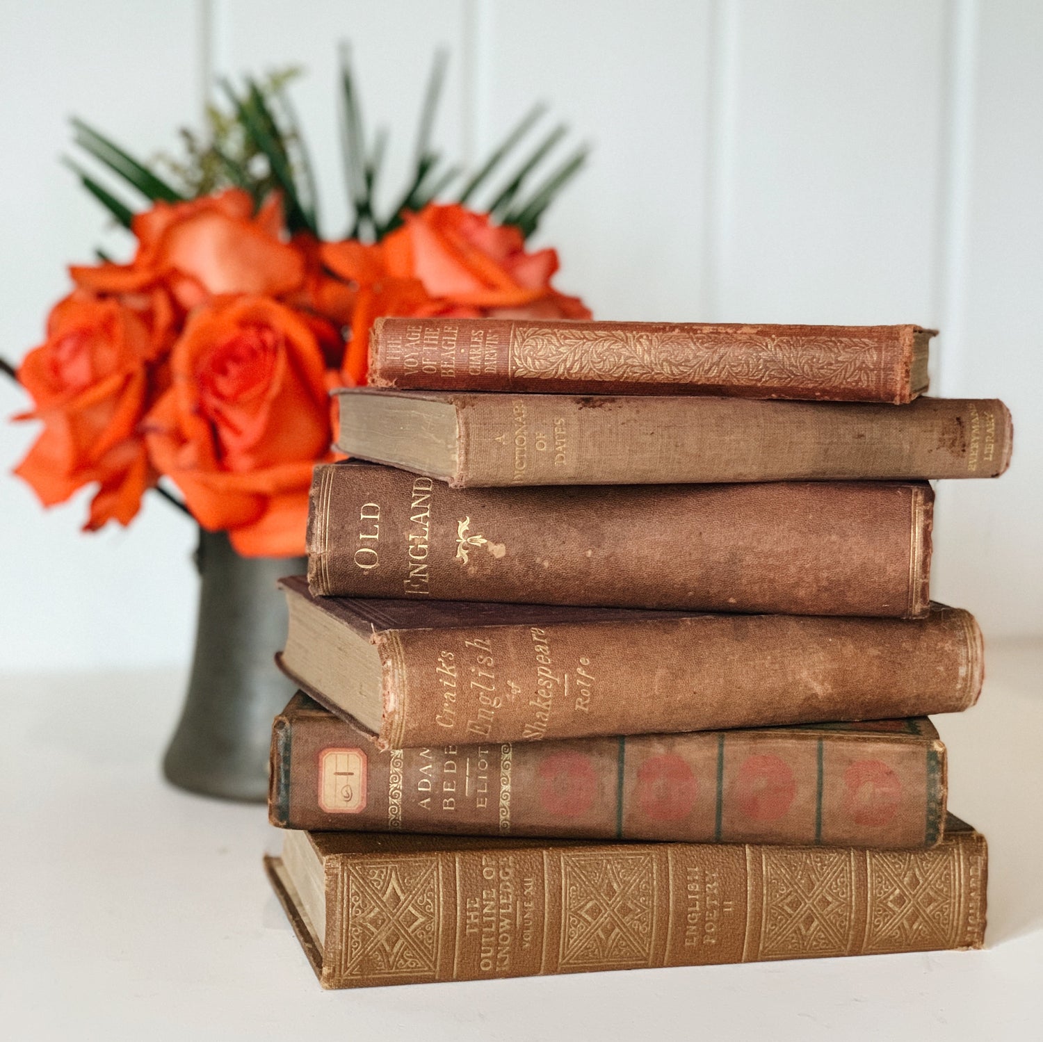 Antique Copper Brown Decorative Book Set, Bookshelf Decor, George Eliot, Darwin