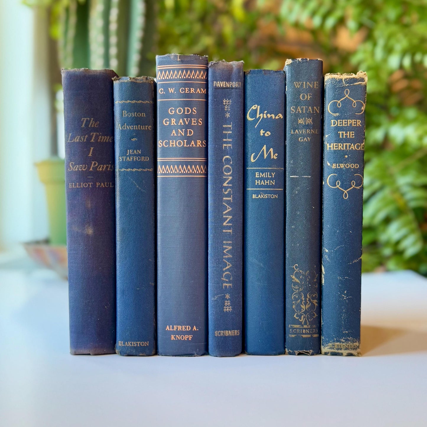Denim Blue Vintage Books By Color, Curated Book Set, Masculine Shelf Decor