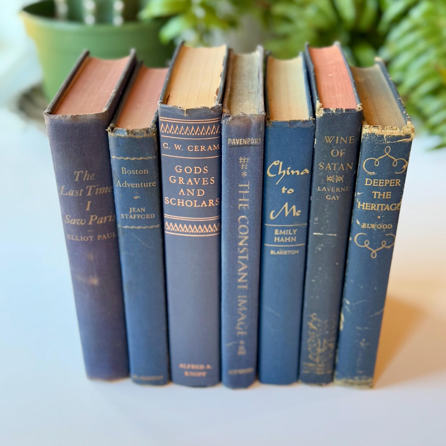 Denim Blue Vintage Books By Color, Curated Book Set, Masculine Shelf Decor