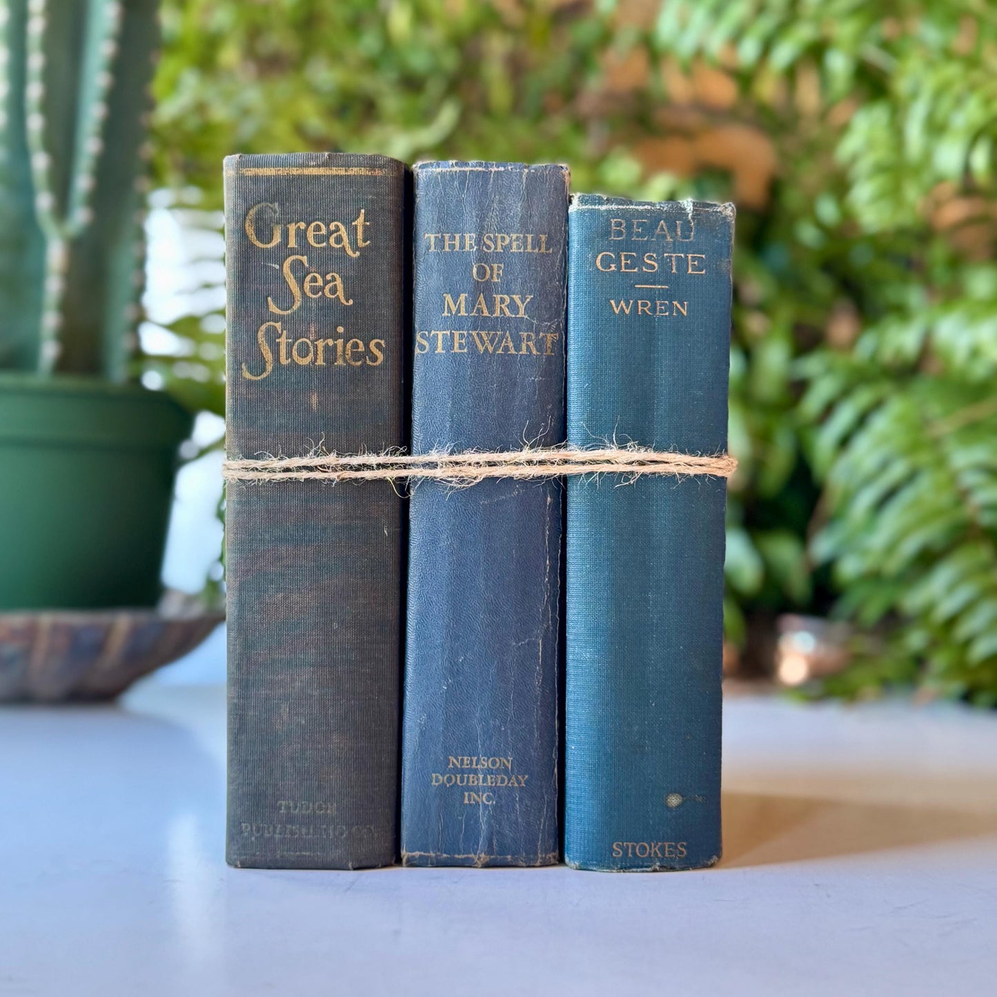 Vintage Blue Chunky Books for Shelf Styling