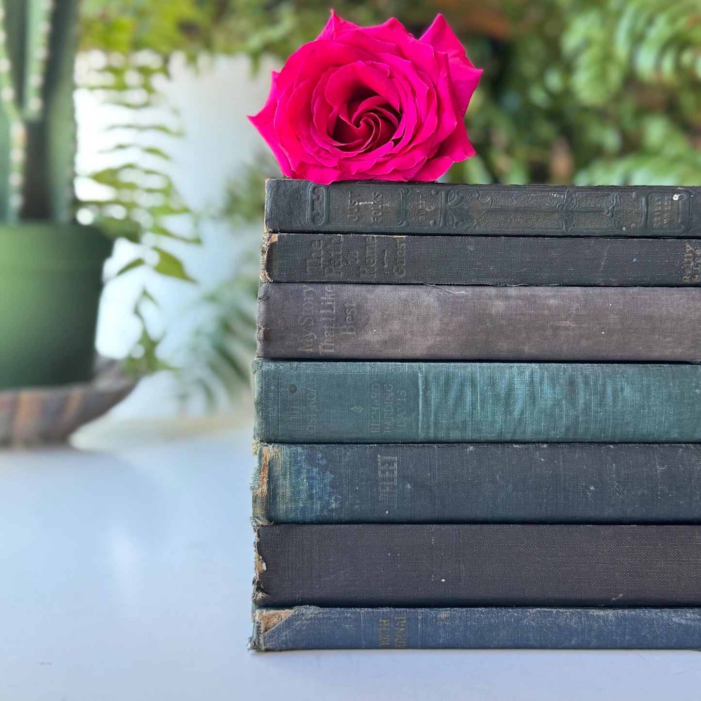 Shabby Green Blue Antique Books for Shelf Styling, No Lettering