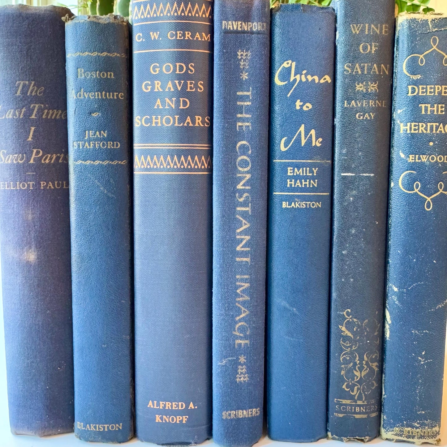 Denim Blue Vintage Books By Color, Curated Book Set, Masculine Shelf Decor