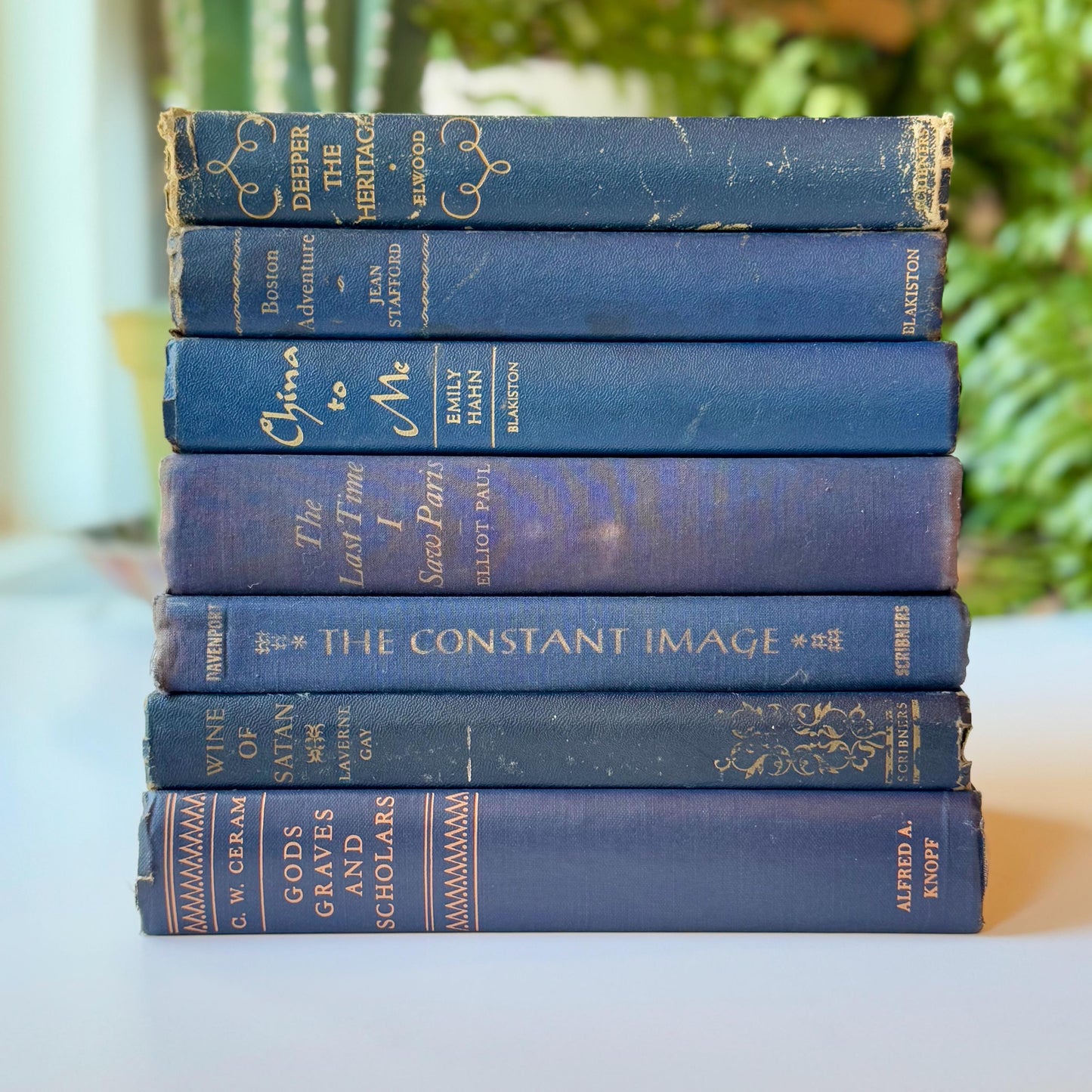 Denim Blue Vintage Books By Color, Curated Book Set, Masculine Shelf Decor