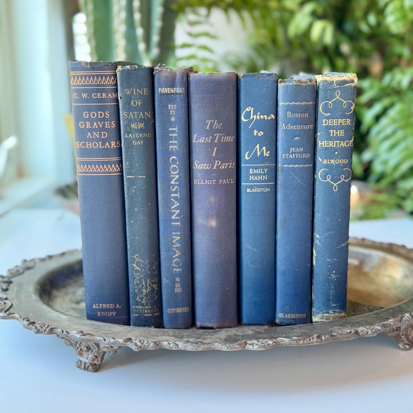 Denim Blue Vintage Books By Color, Curated Book Set, Masculine Shelf Decor