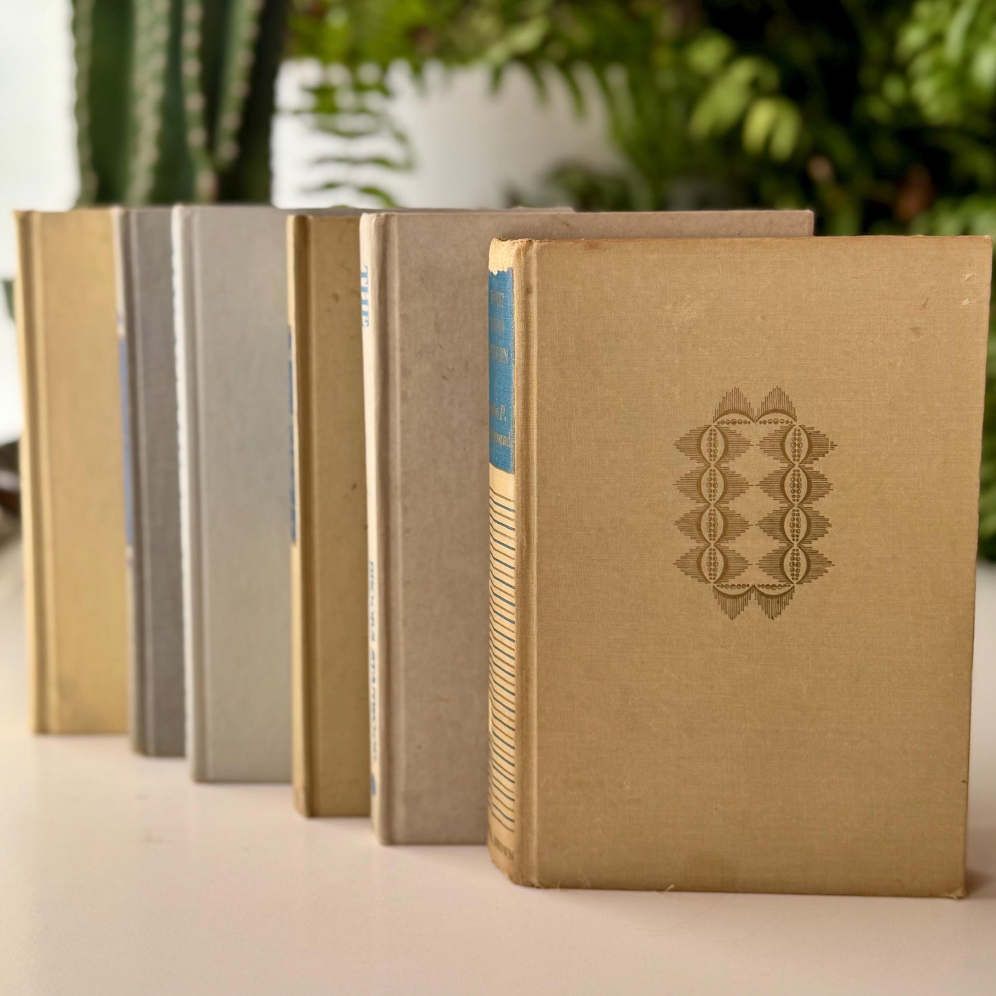 Beige Tan Cream Blue Vintage Mid Century Book Bundle for Shelf Styling