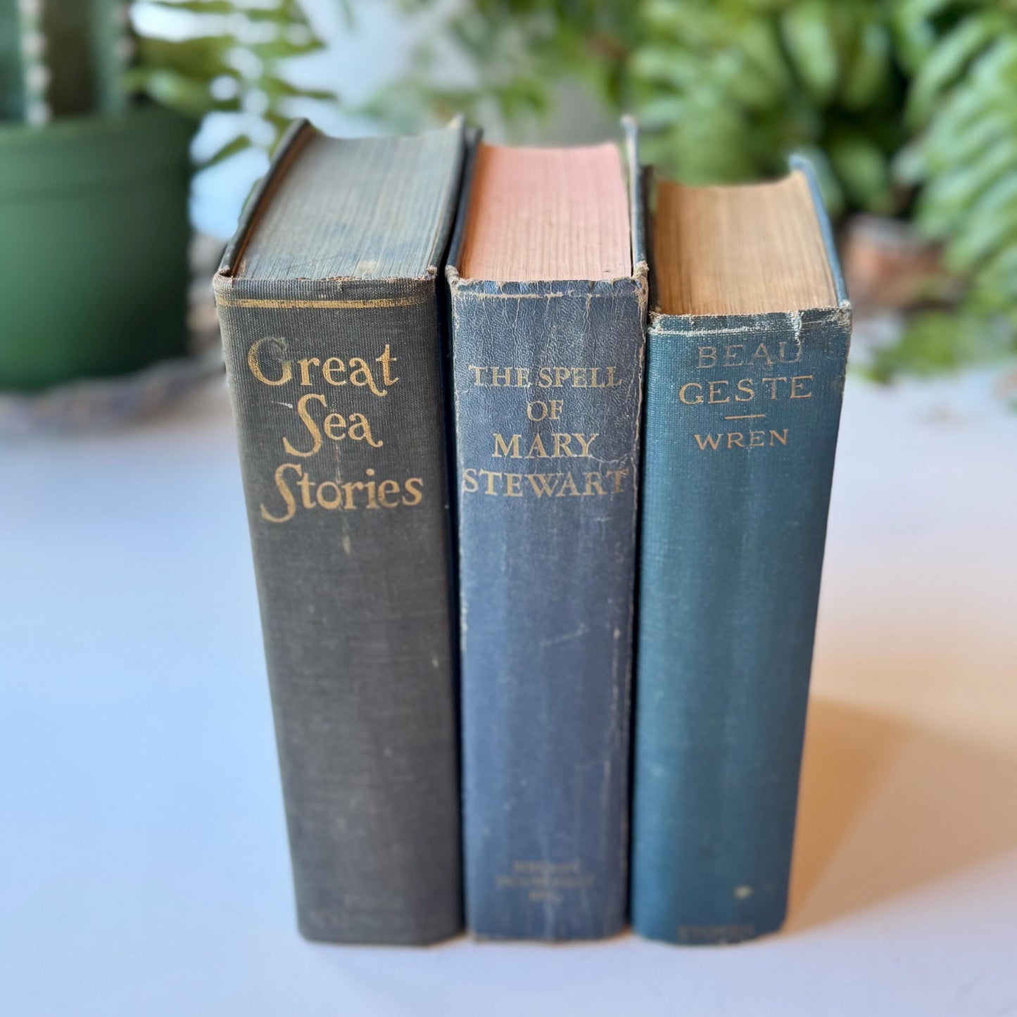 Vintage Blue Chunky Books for Shelf Styling