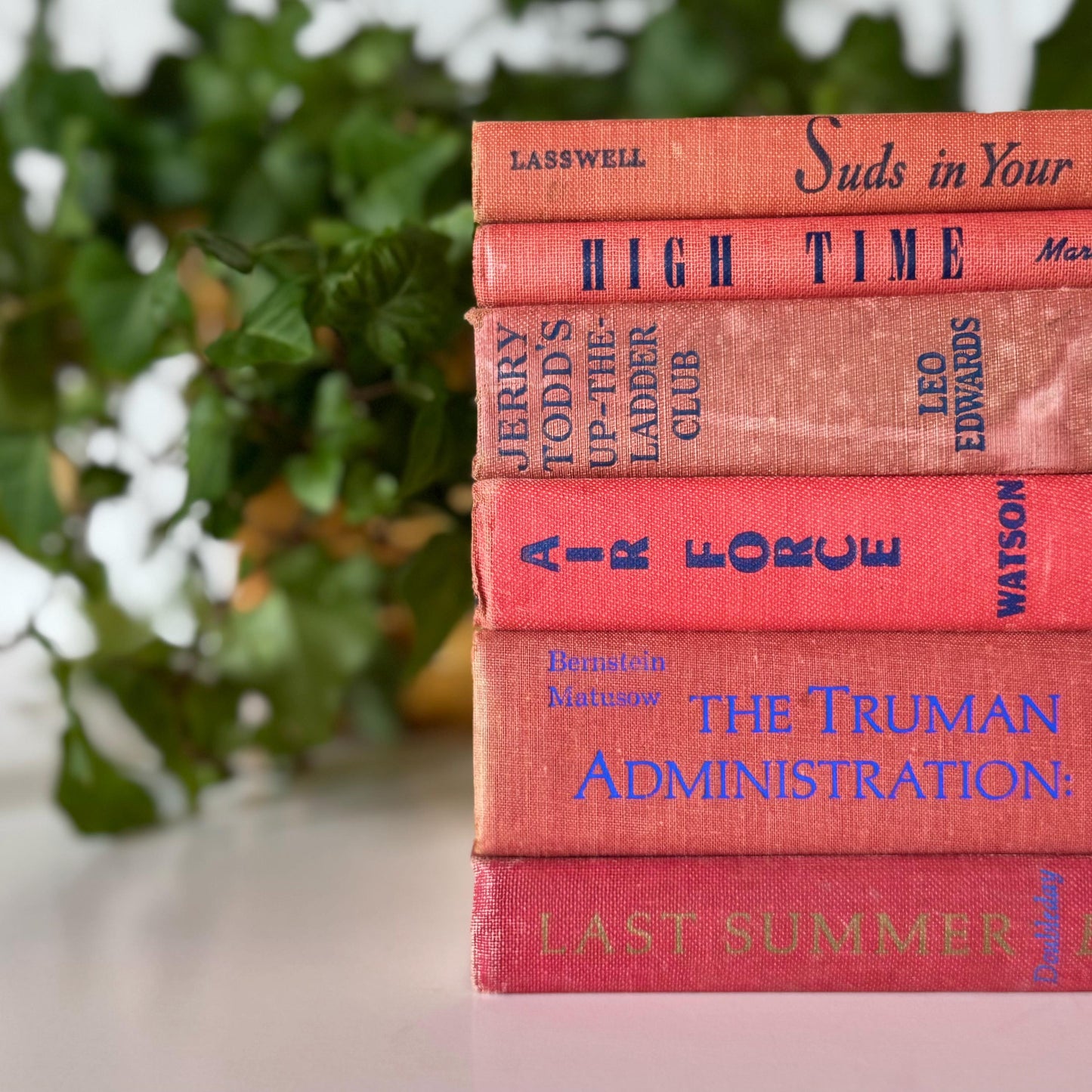 Vintage Red and Blue Mid-Century Modern Faded Decorative Books for Shabby Chic Decor