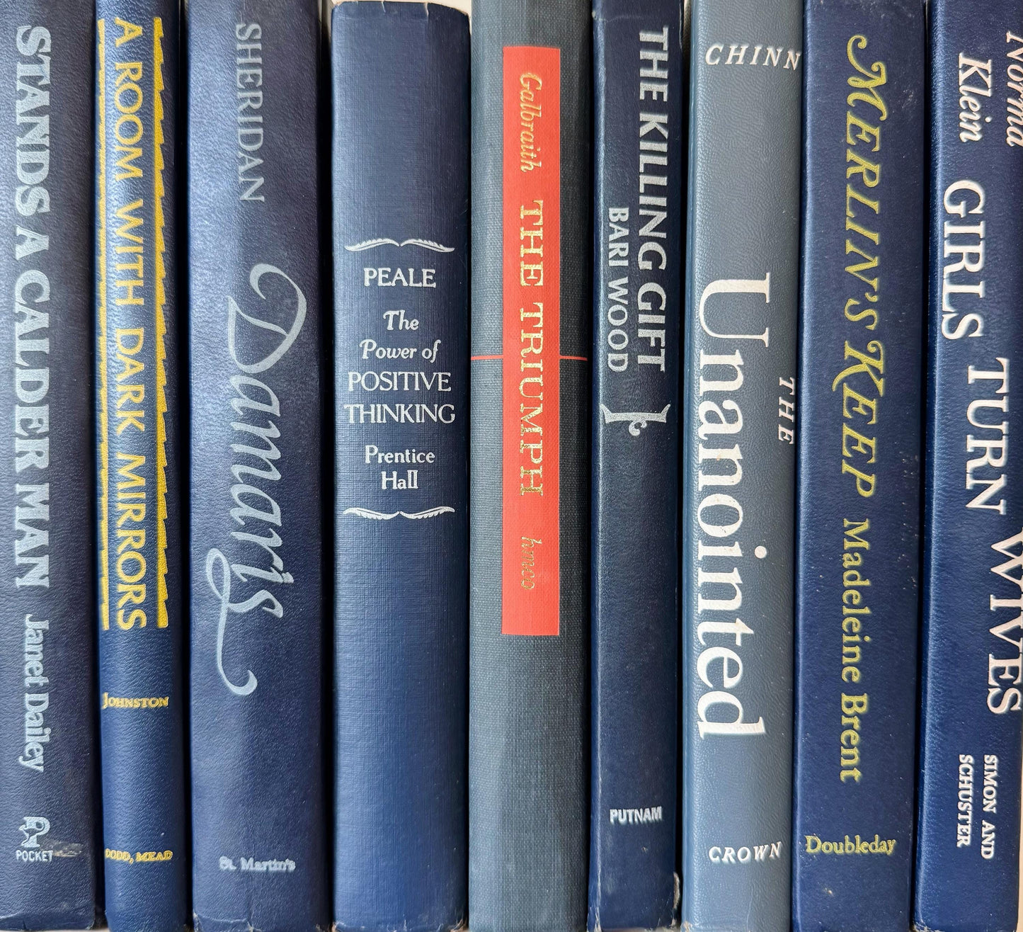 Vintage Indigo Navy Blue Retro Book Set for Shelf Styling