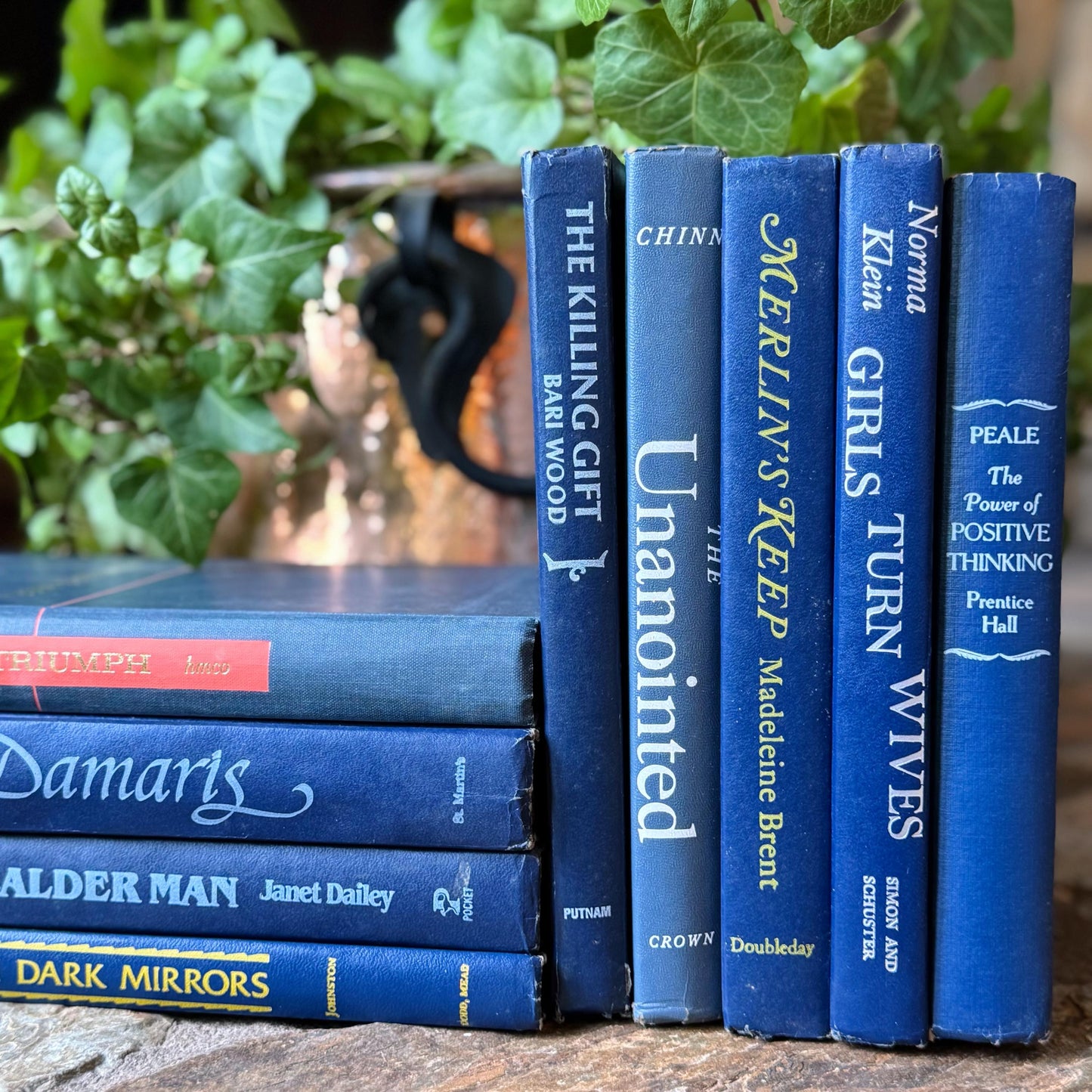 Vintage Indigo Navy Blue Retro Book Set for Shelf Styling