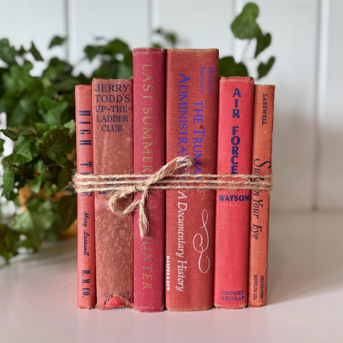 Vintage Red and Blue Mid-Century Modern Faded Decorative Books for Shabby Chic Decor